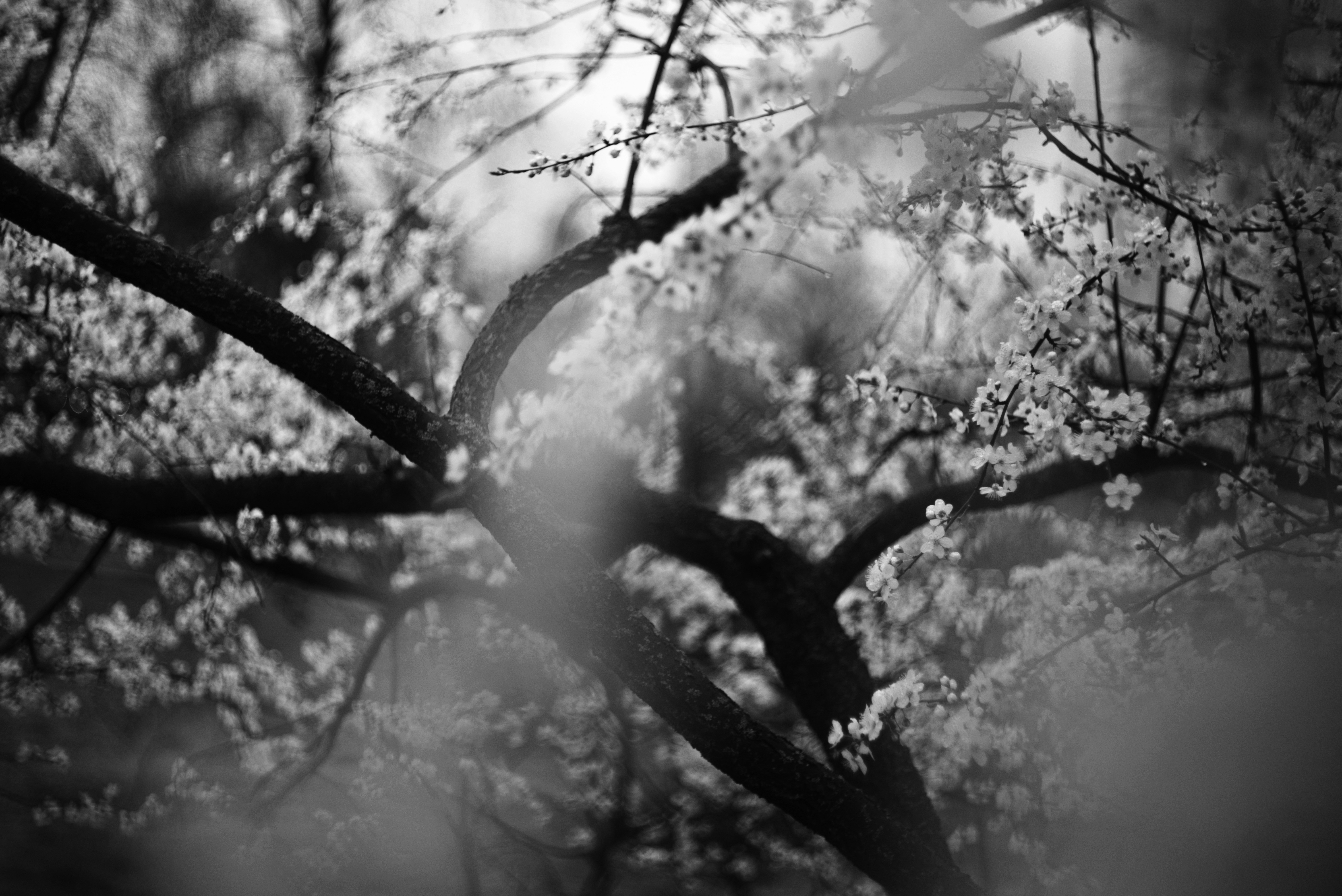 Photo by cherstve_pechivo