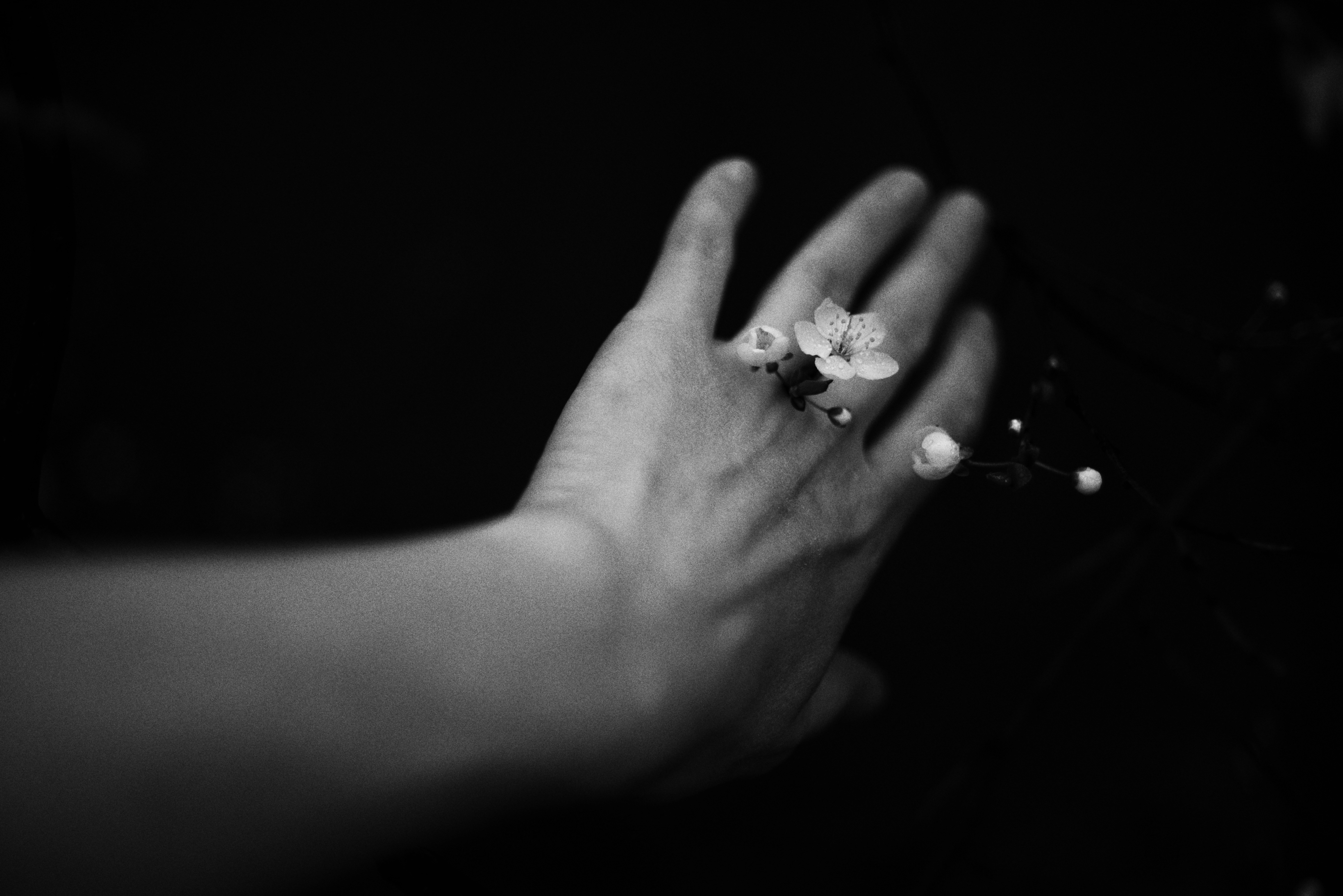 Photo by cherstve_pechivo