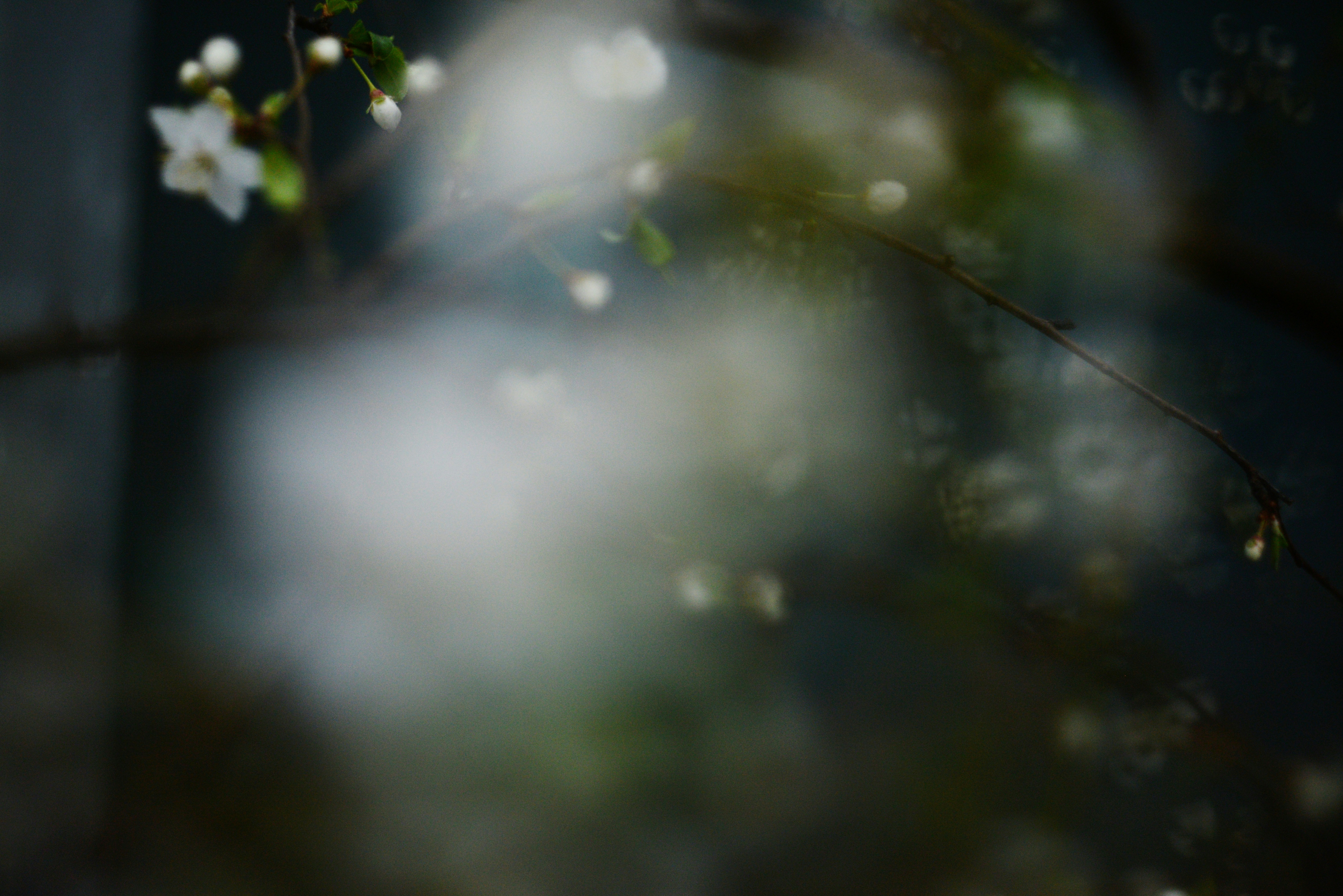 Photo by cherstve_pechivo