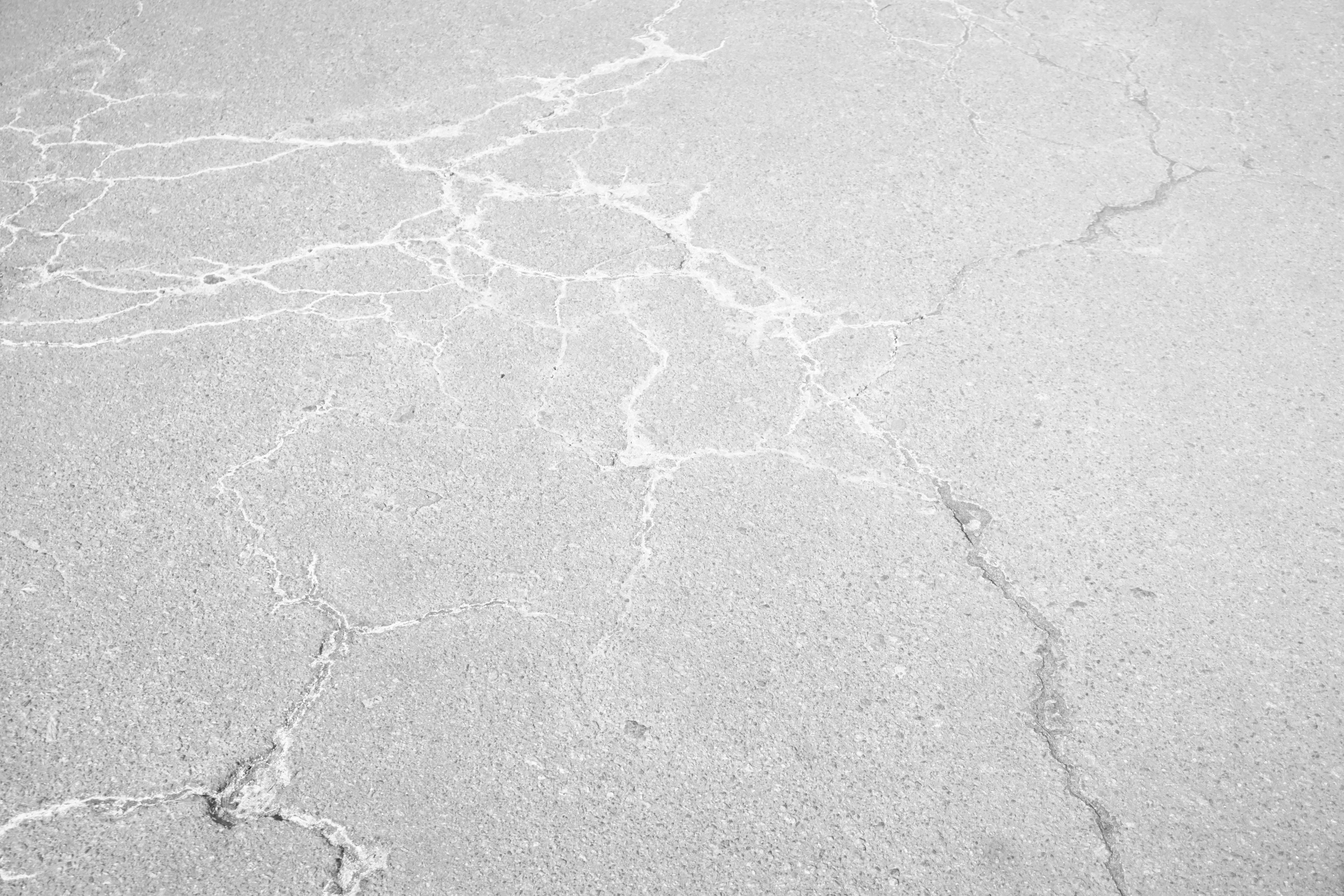 Photo by whiteorchestra