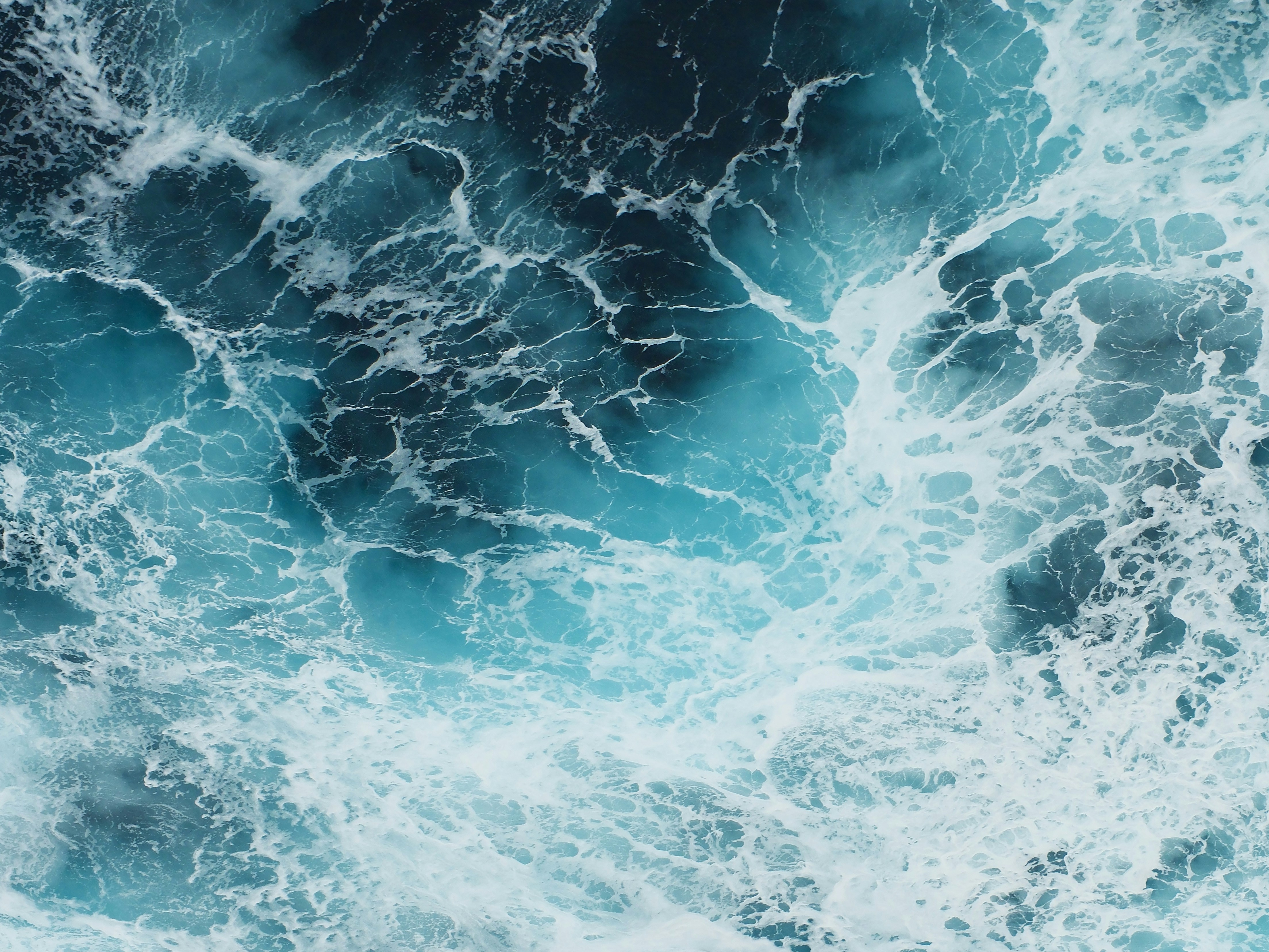 Photo by olegolegoleg