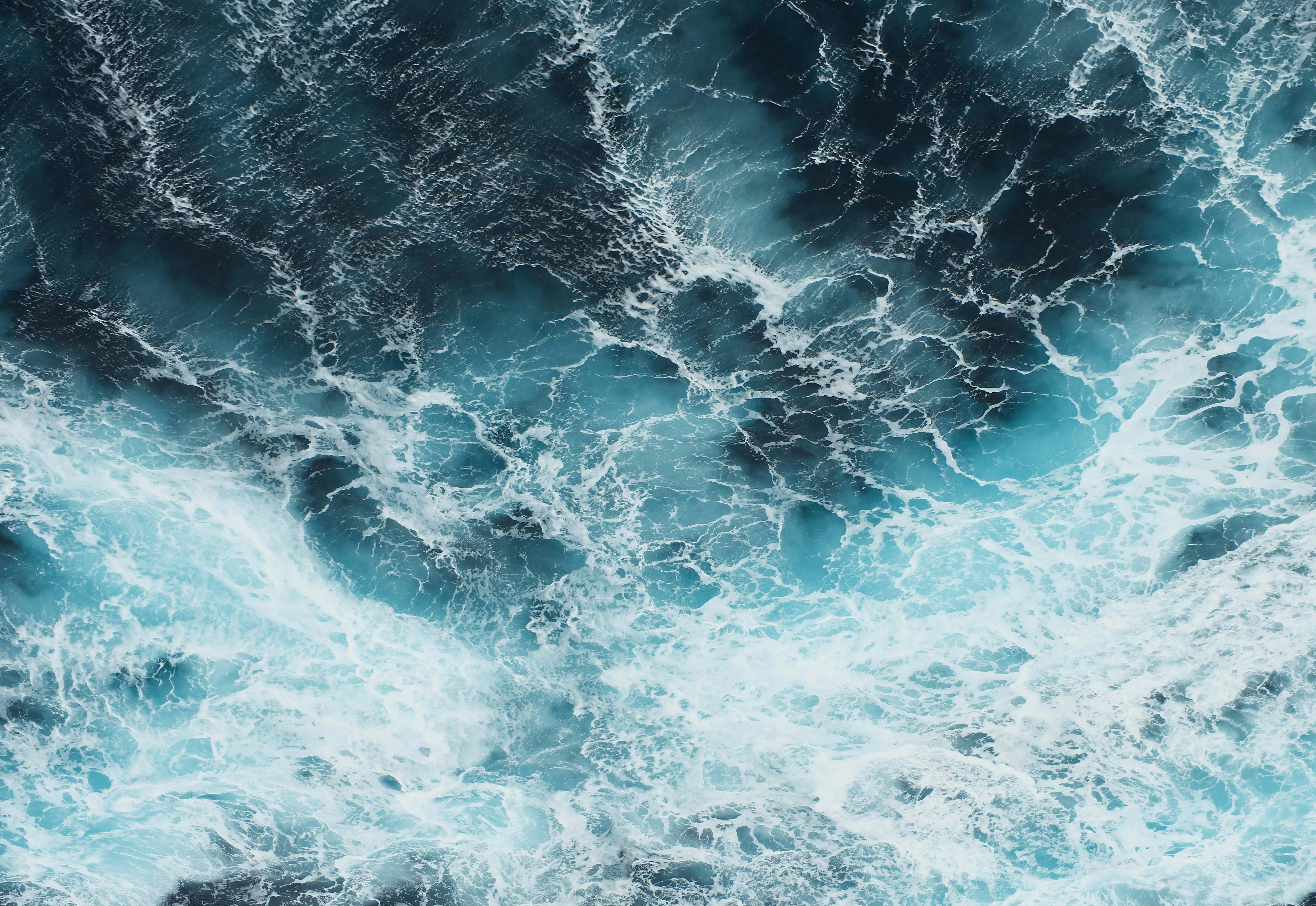 Photo by olegolegoleg