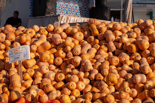 A large pile of butternut squash.