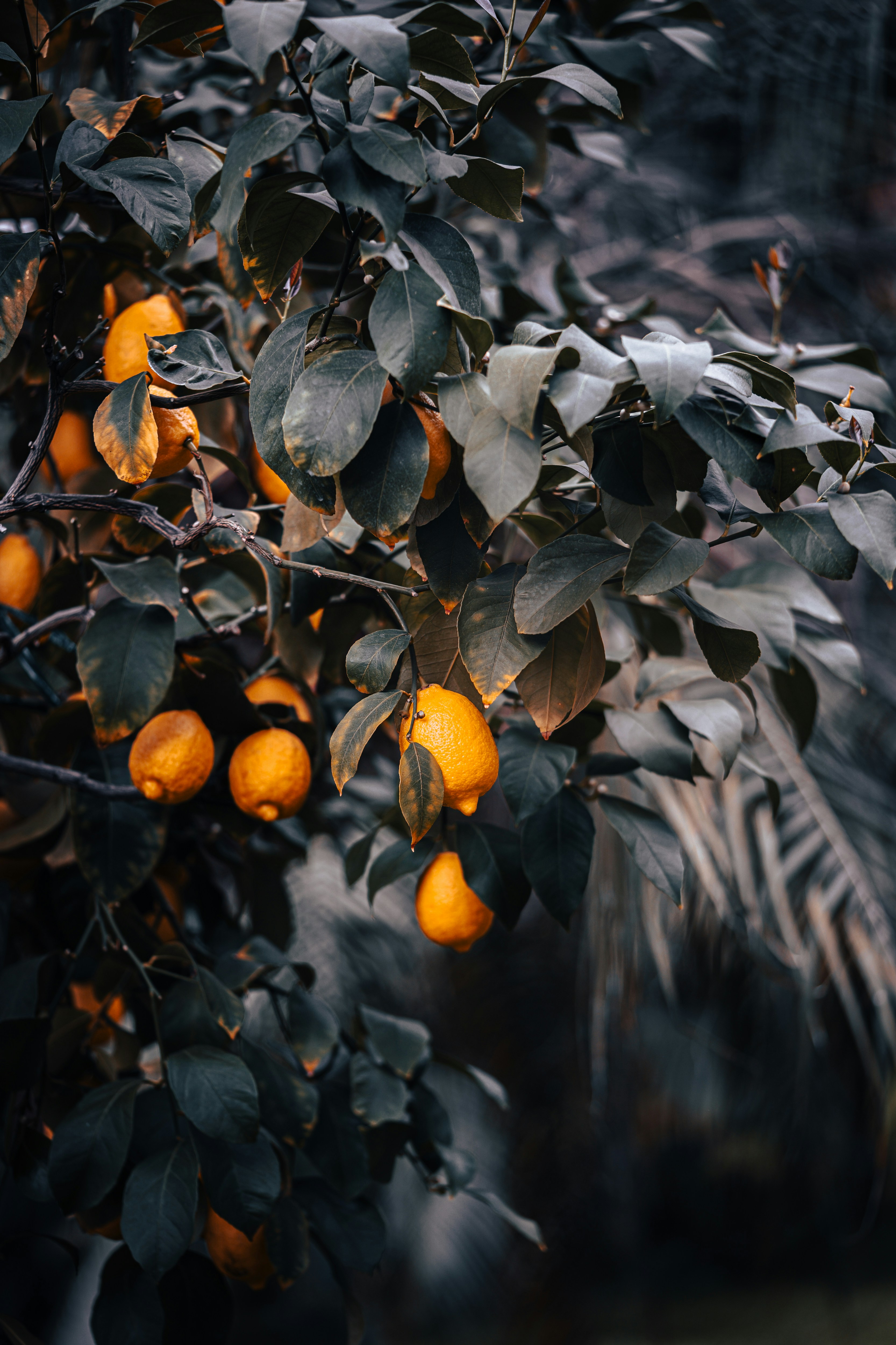 Photo by carinamariah