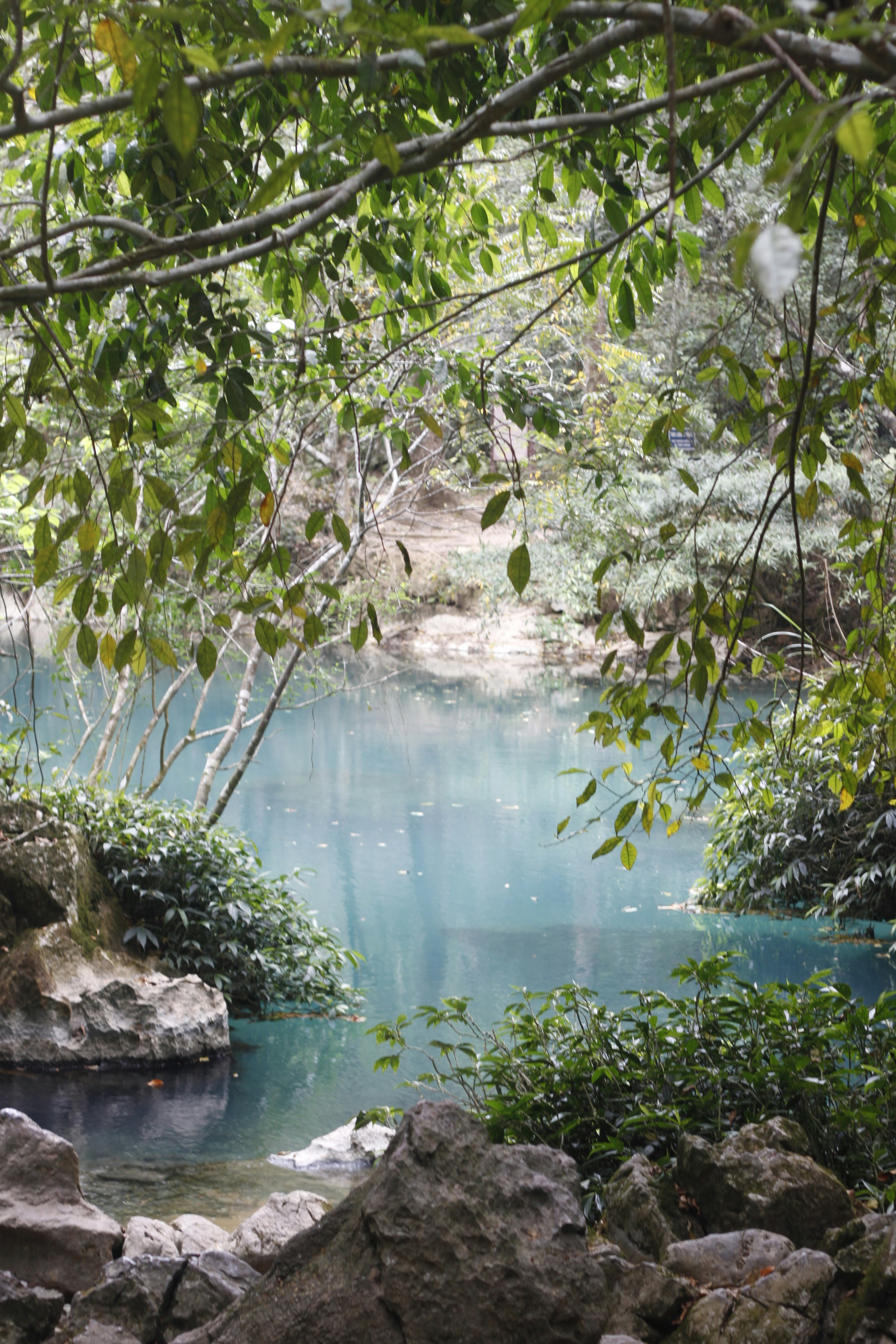 Photo by jtrinh_artwork