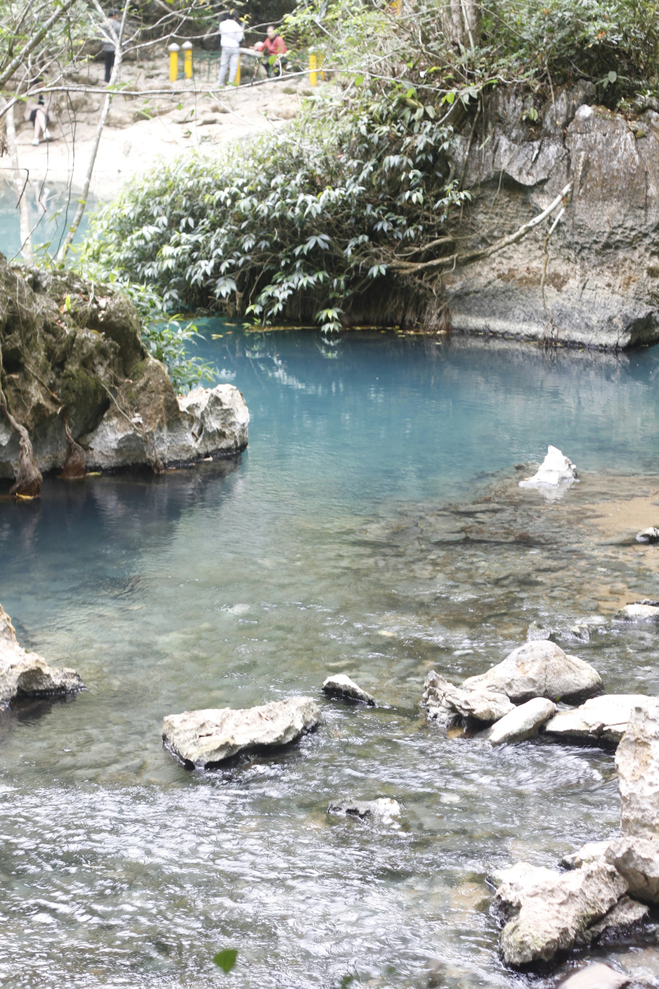 Photo by jtrinh_artwork