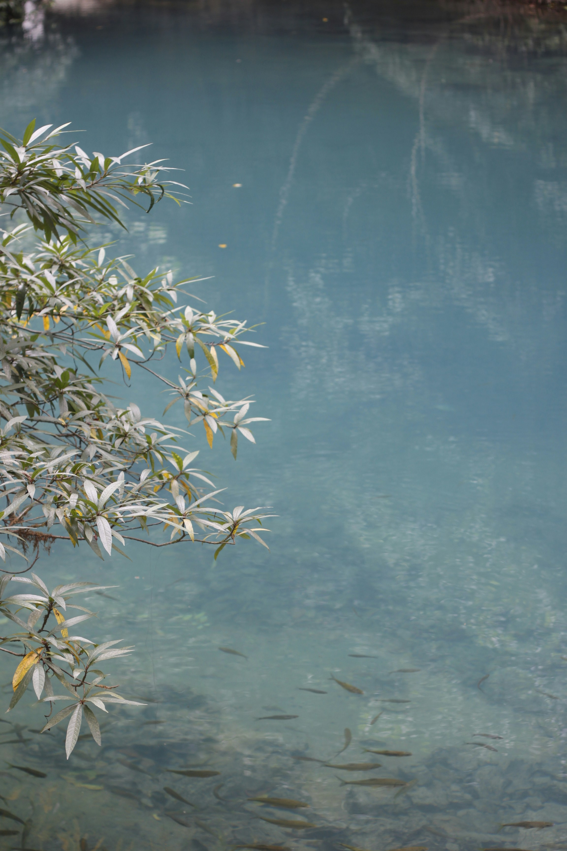 Photo by jtrinh_artwork