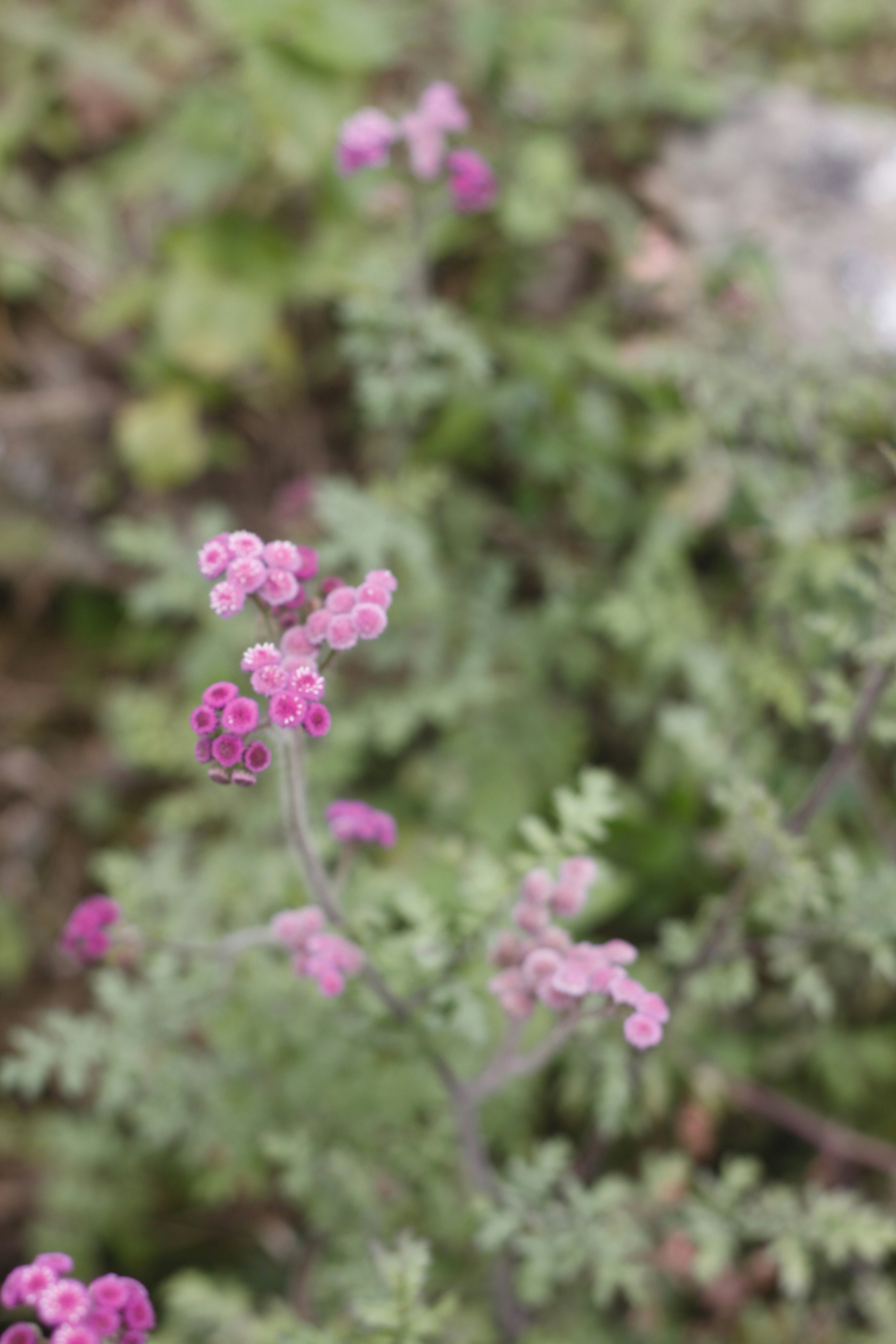 Photo by jtrinh_artwork