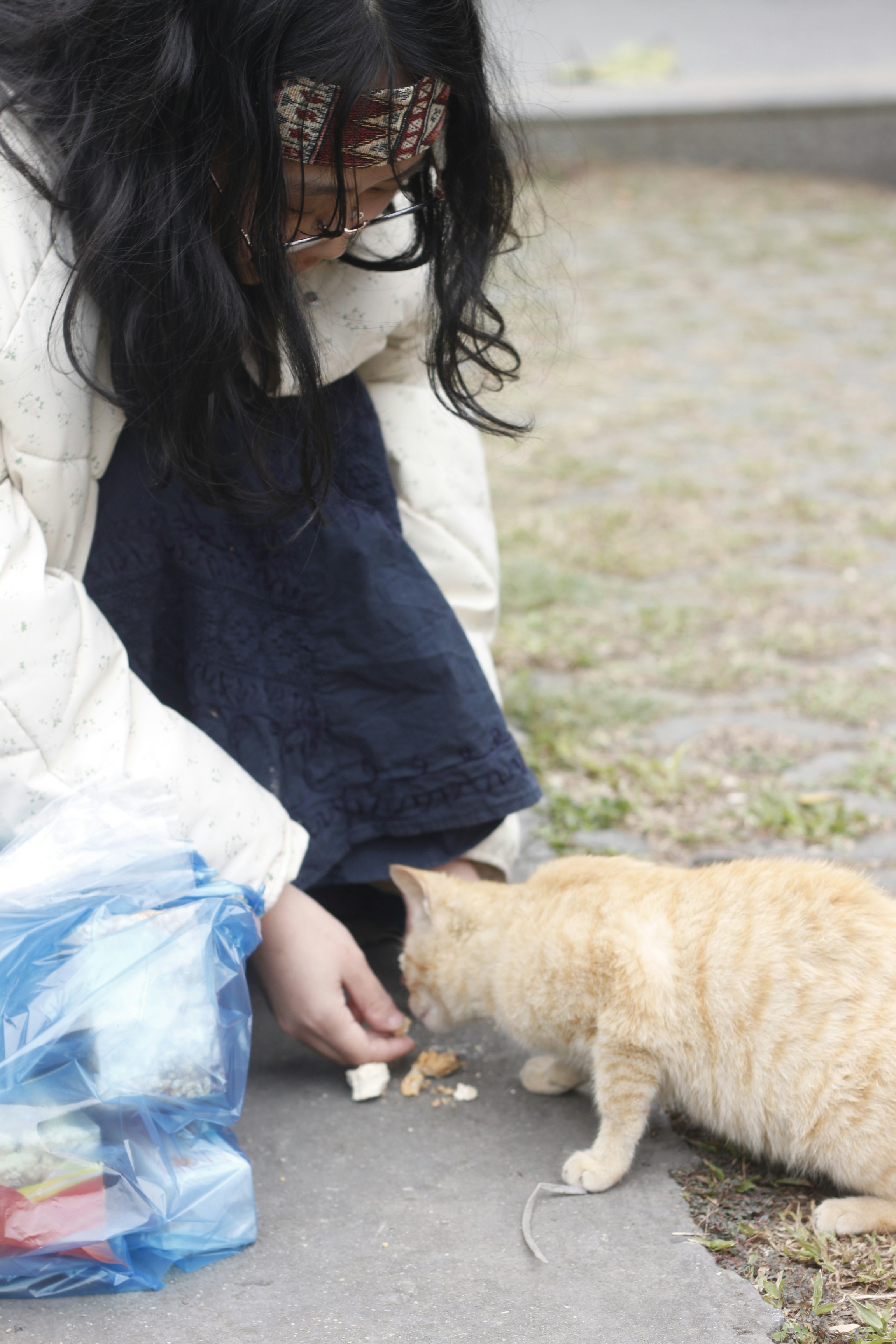 女性は外で猫に食べ物を与えます