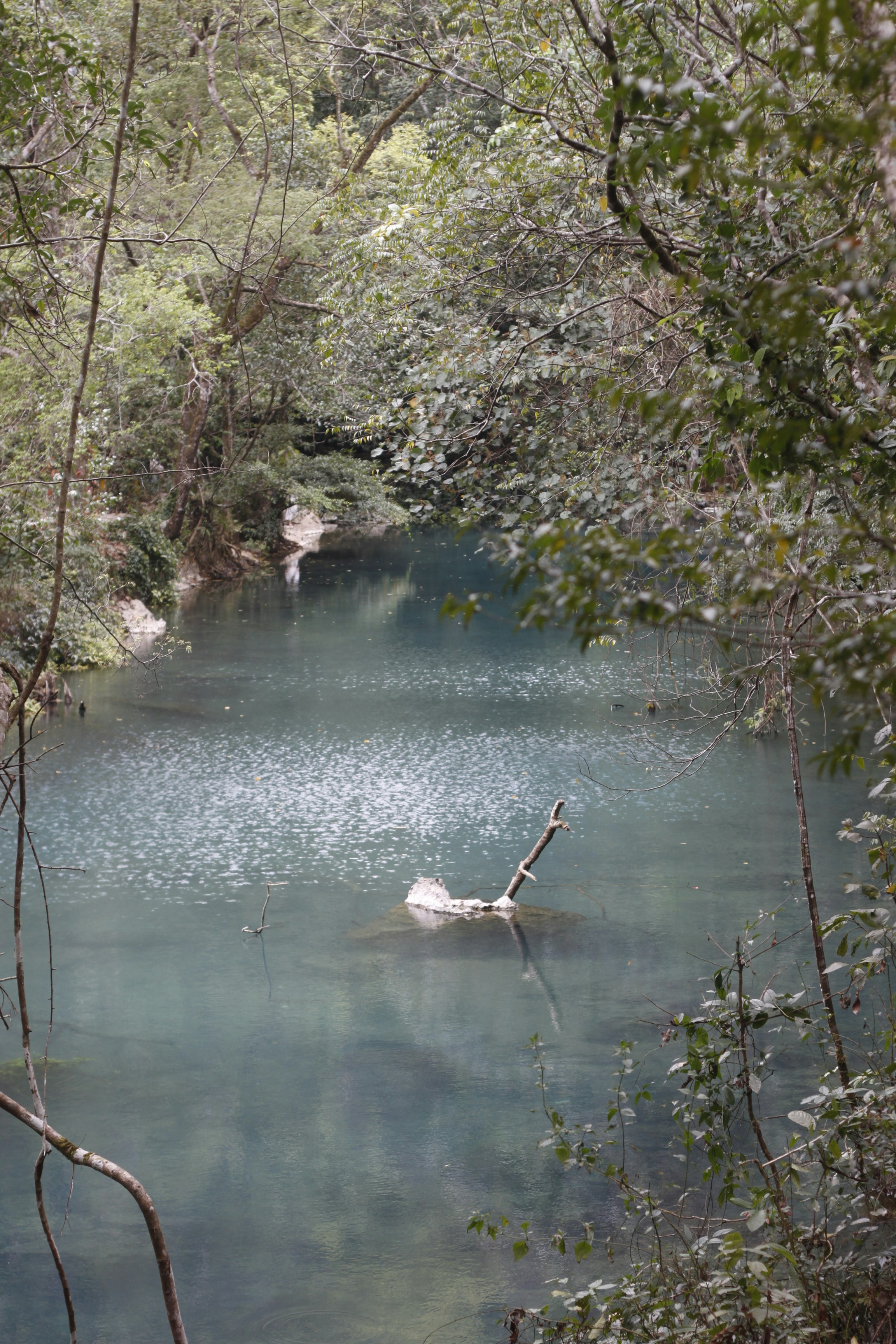 Photo by jtrinh_artwork