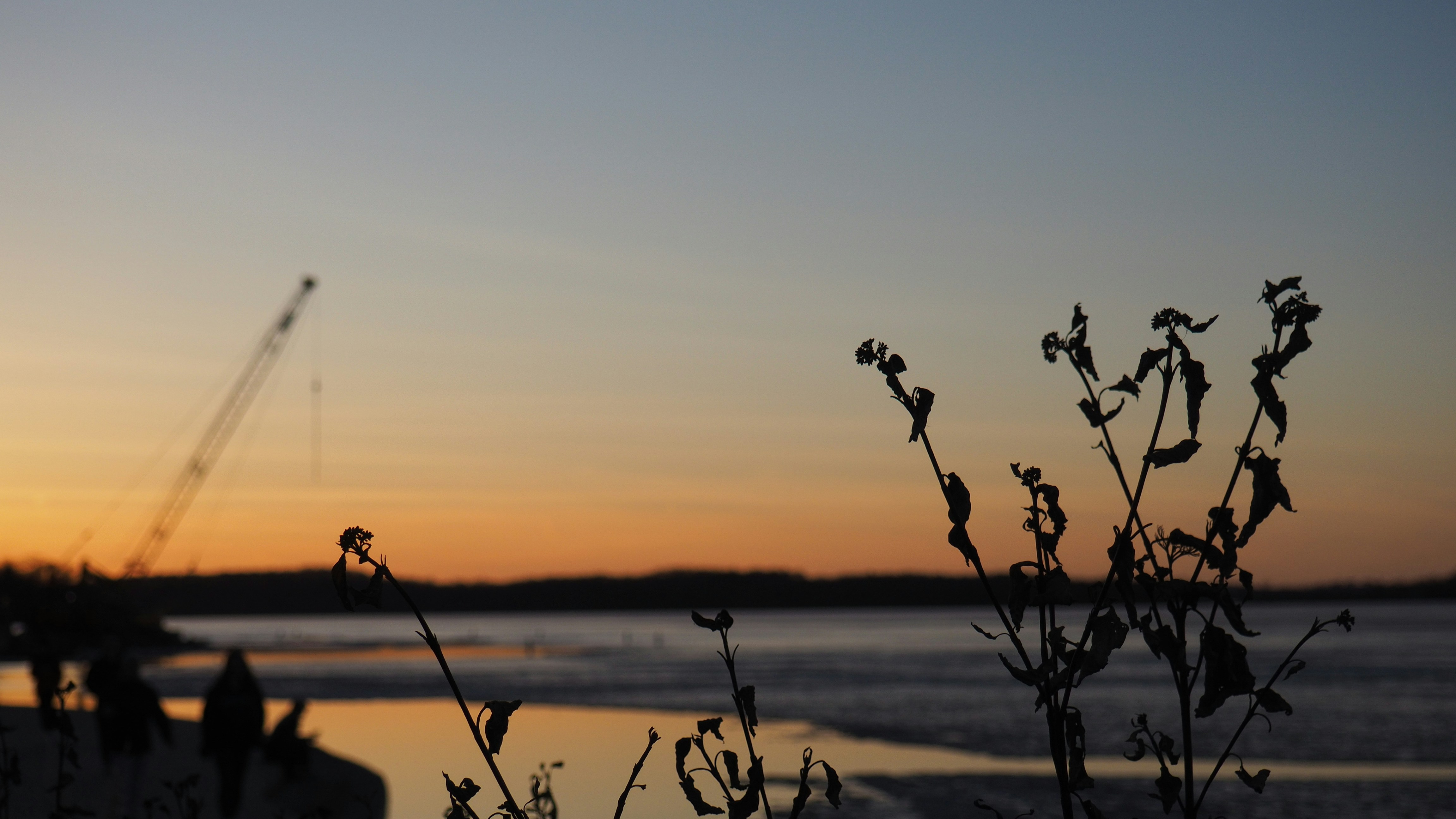 Photo by muscateer777