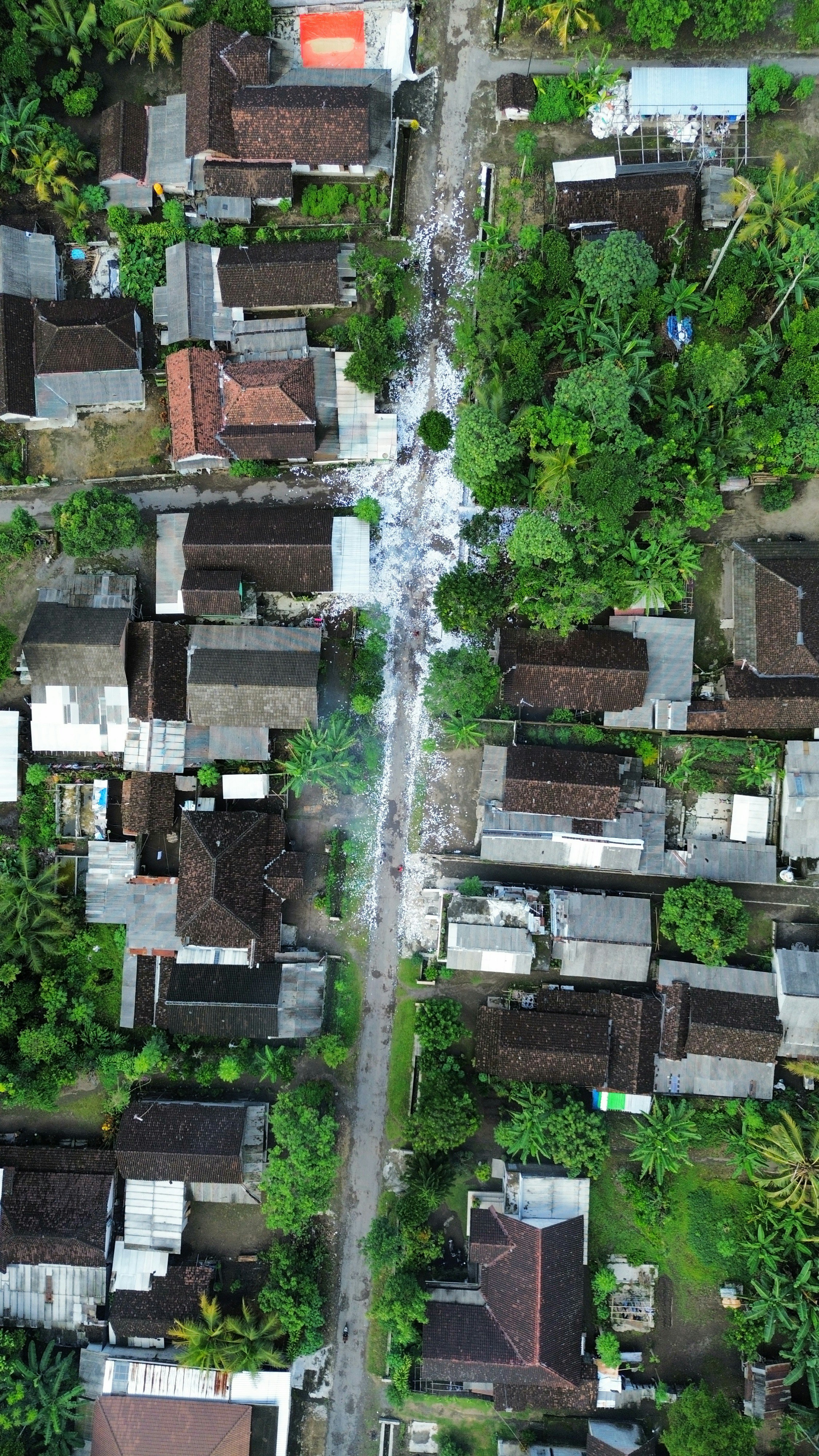 Satélite a calle: Síntesis de vistas posteriores a desastres a partir de imágenes de satélite mediante modelos generativos de visión