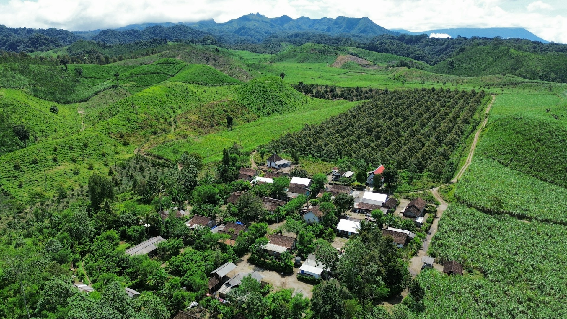 A lush green landscape contains a village.