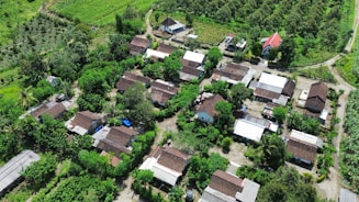 An aerial view of a small rural village.