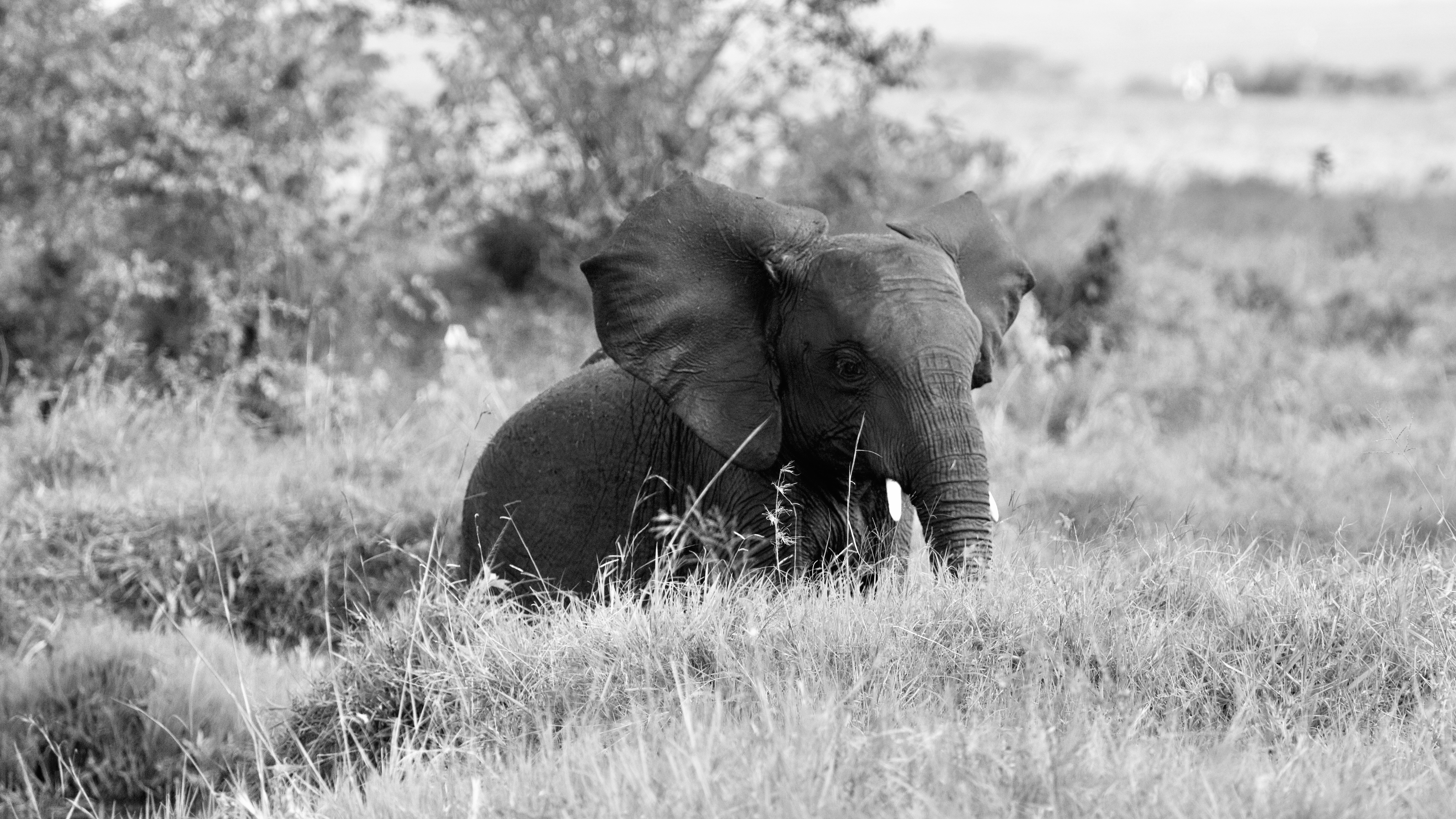 Photo by missymoo125