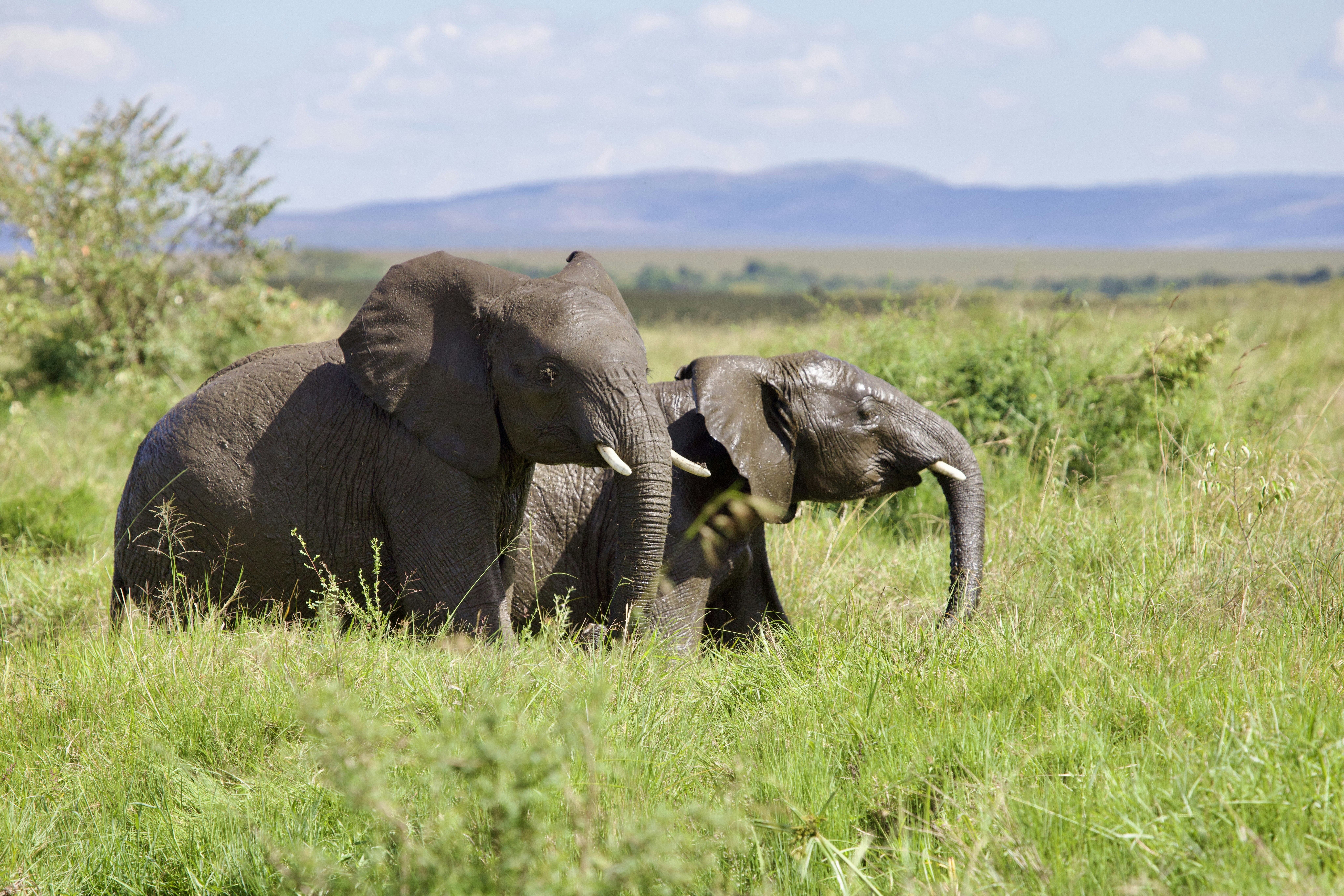 Photo by missymoo125