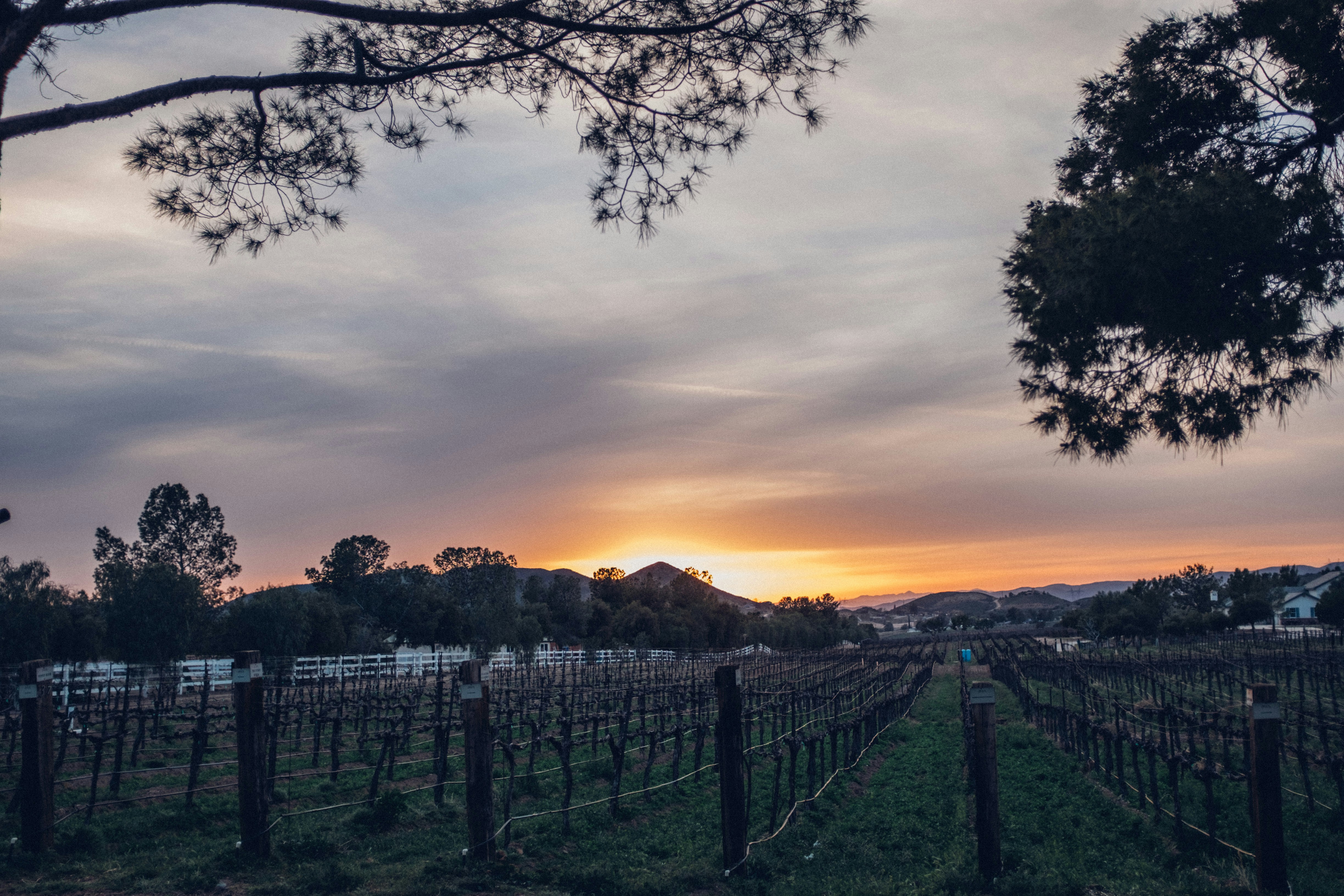 Photo by travisfishl