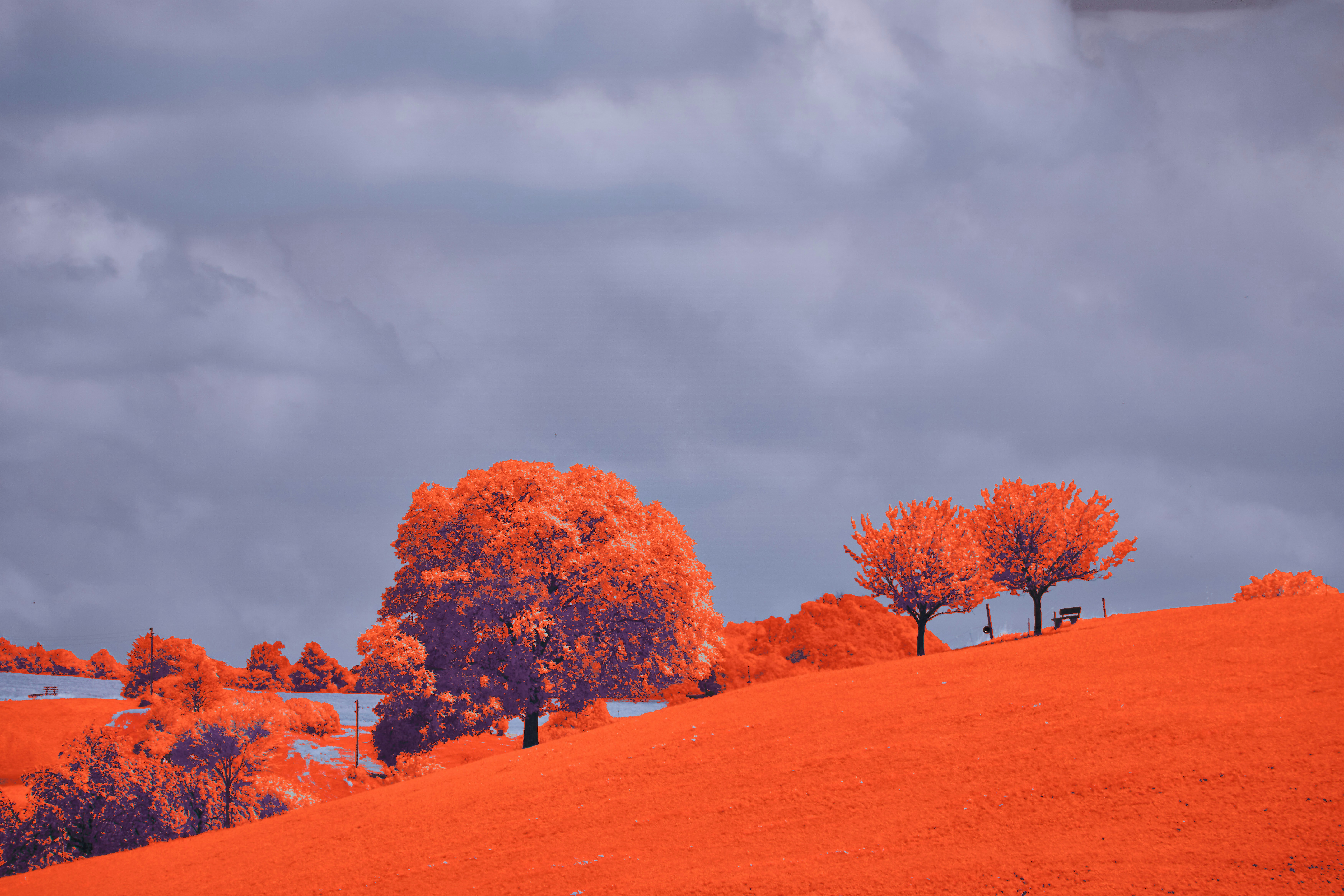 Photo by wolfgang_hasselmann