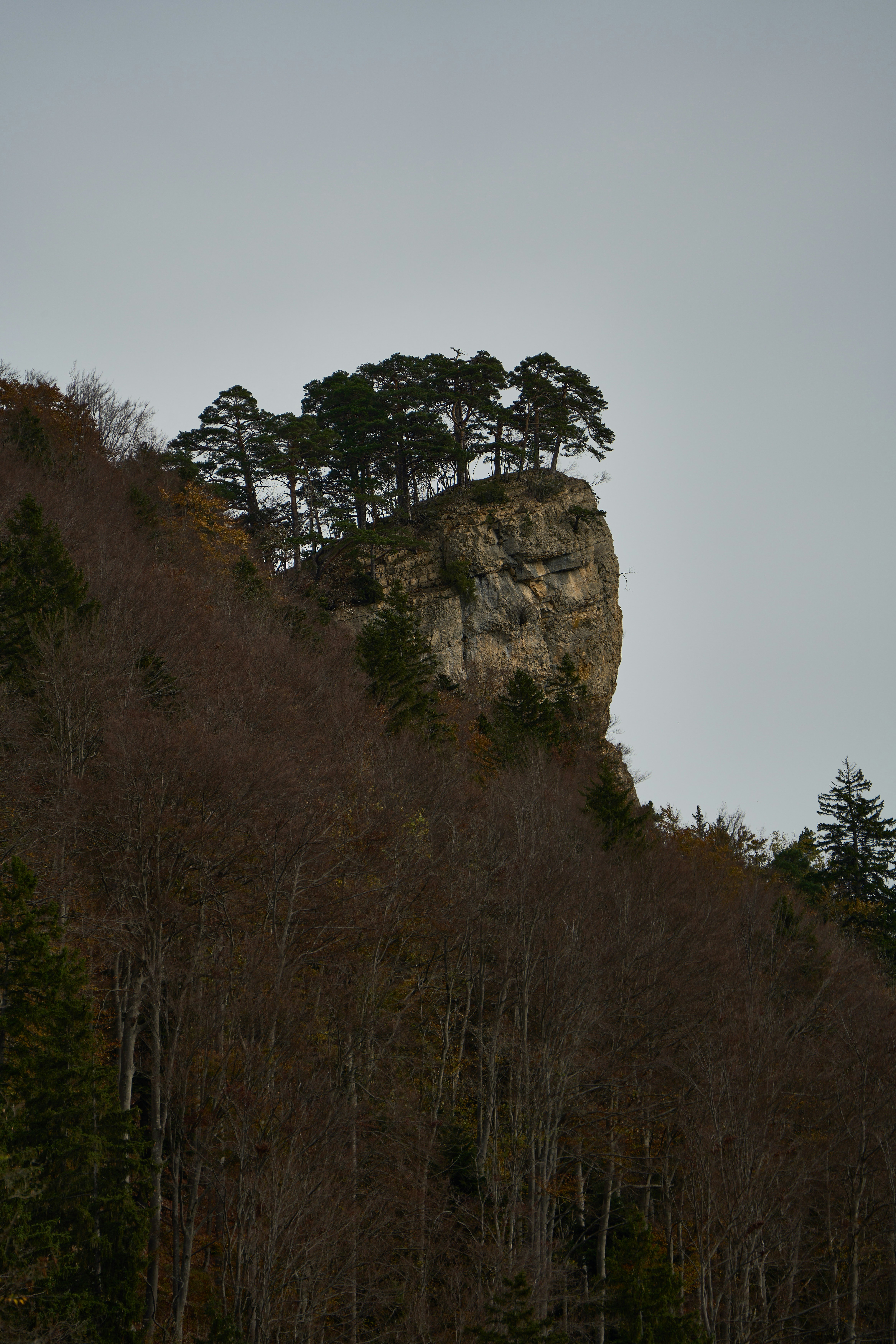 Trees grow atop a rocky mountain peak.