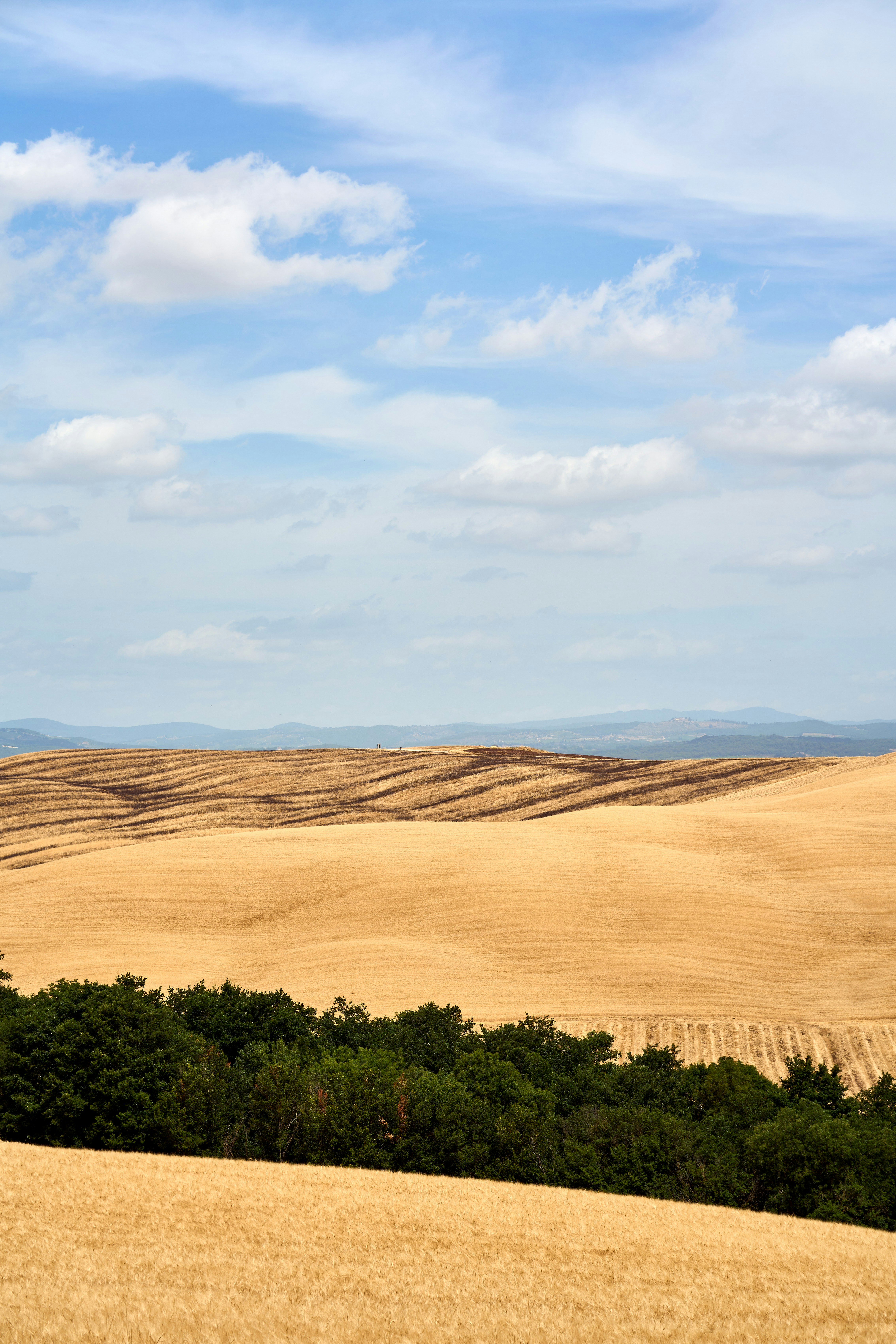 Photo by wolfgang_hasselmann