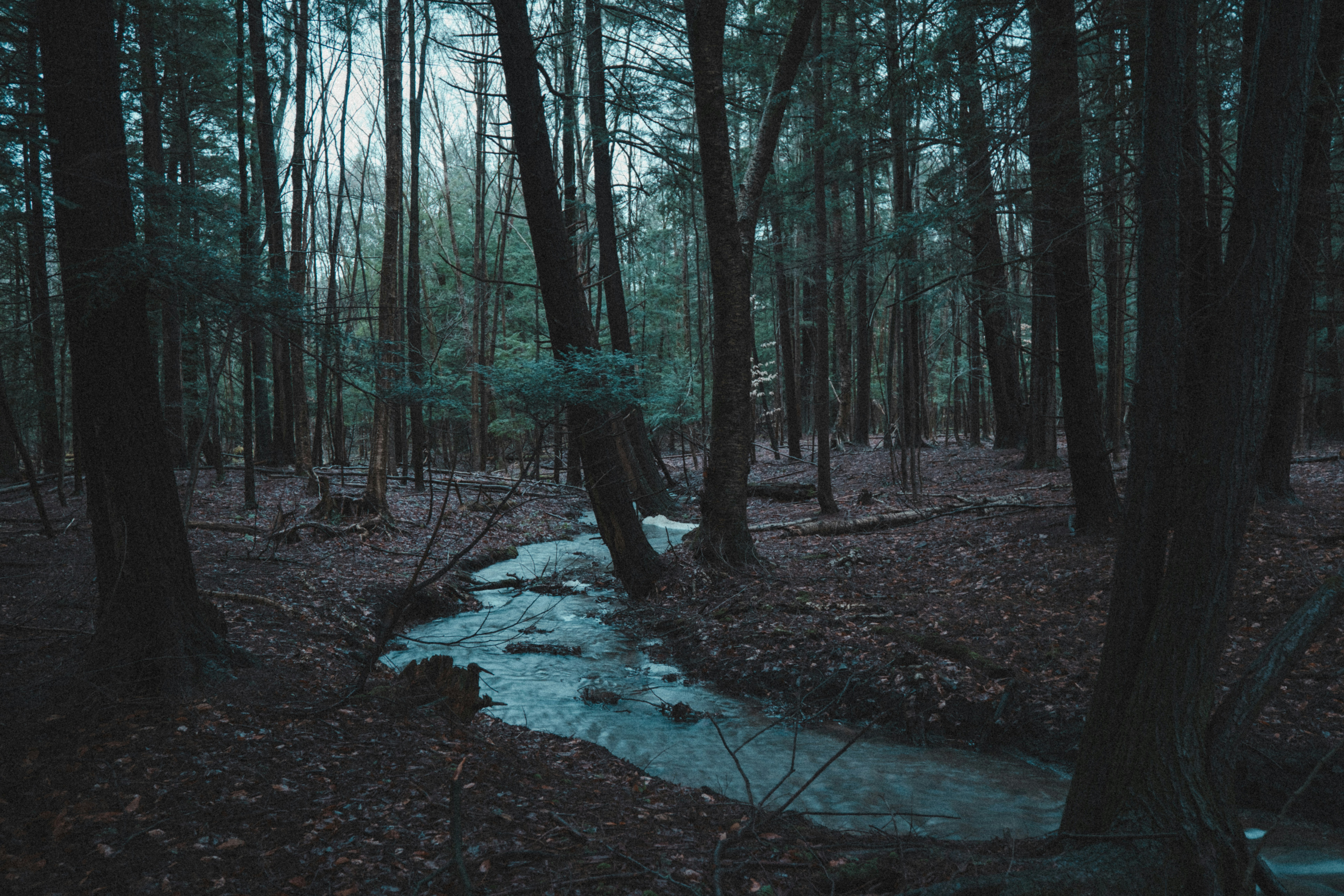 Photo by shawnmclark