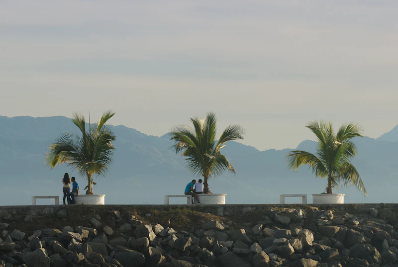 paisaje mexicano con palmeras y montañas