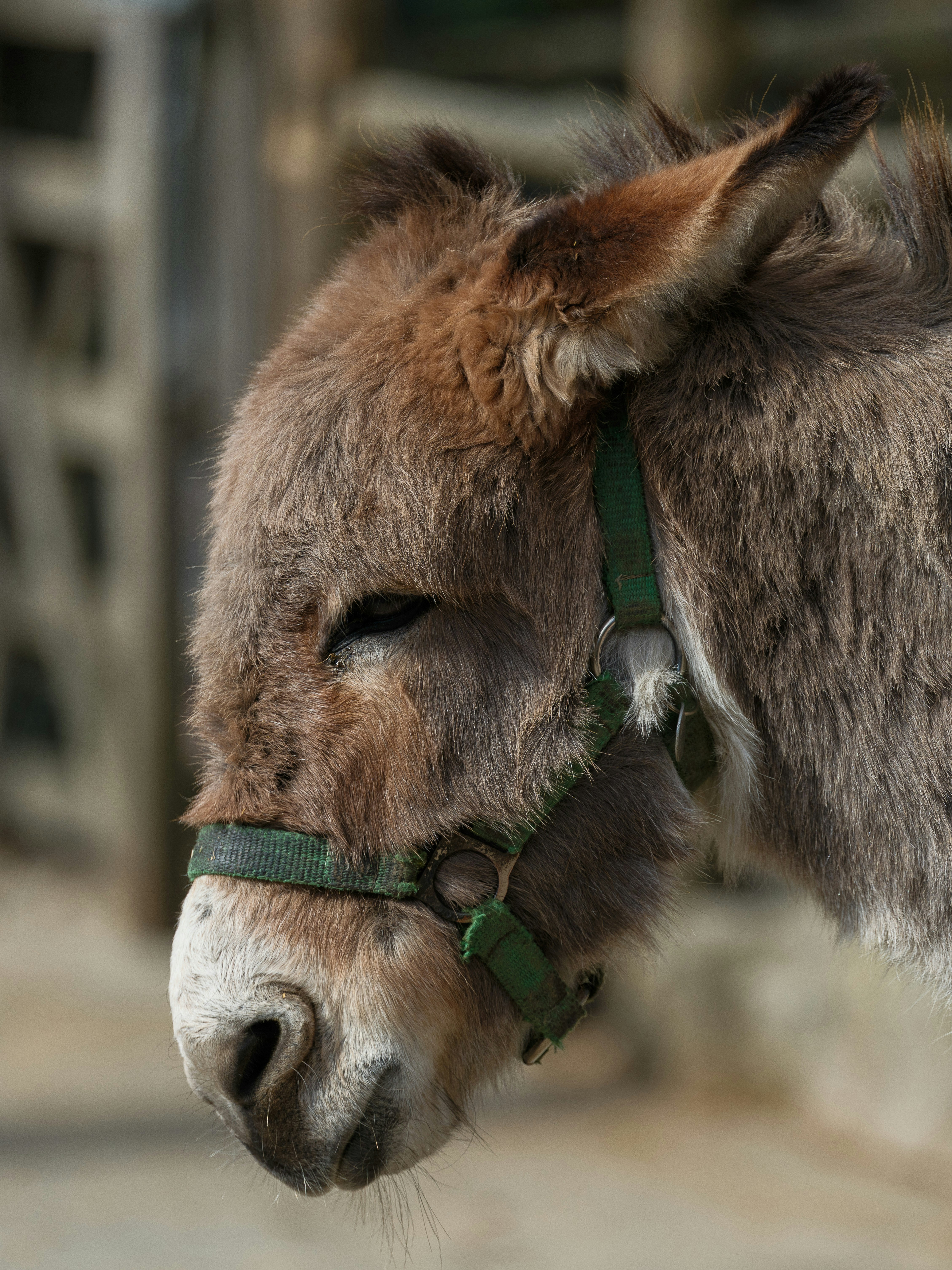 Photo by haberdoedas