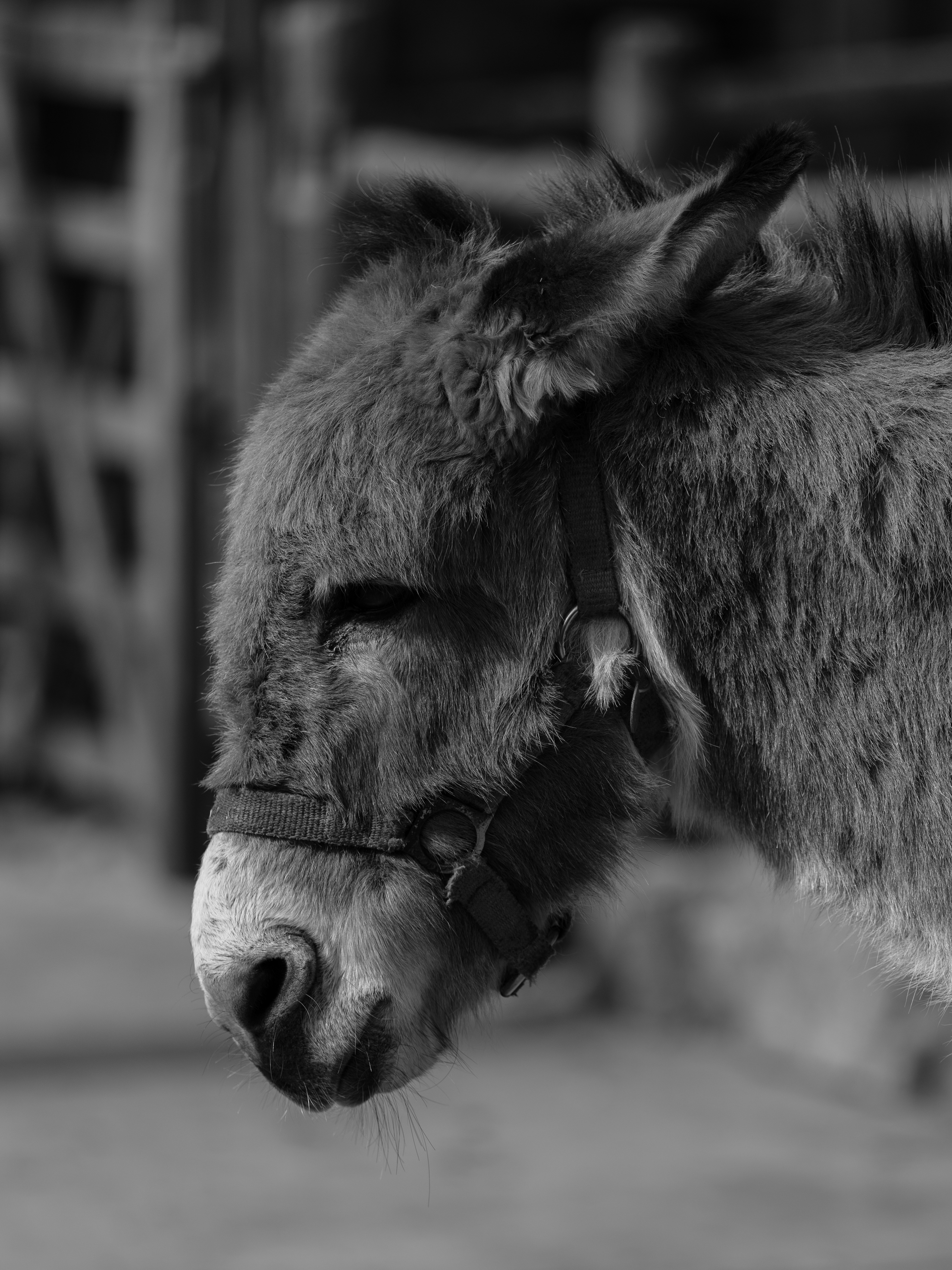 Photo by haberdoedas