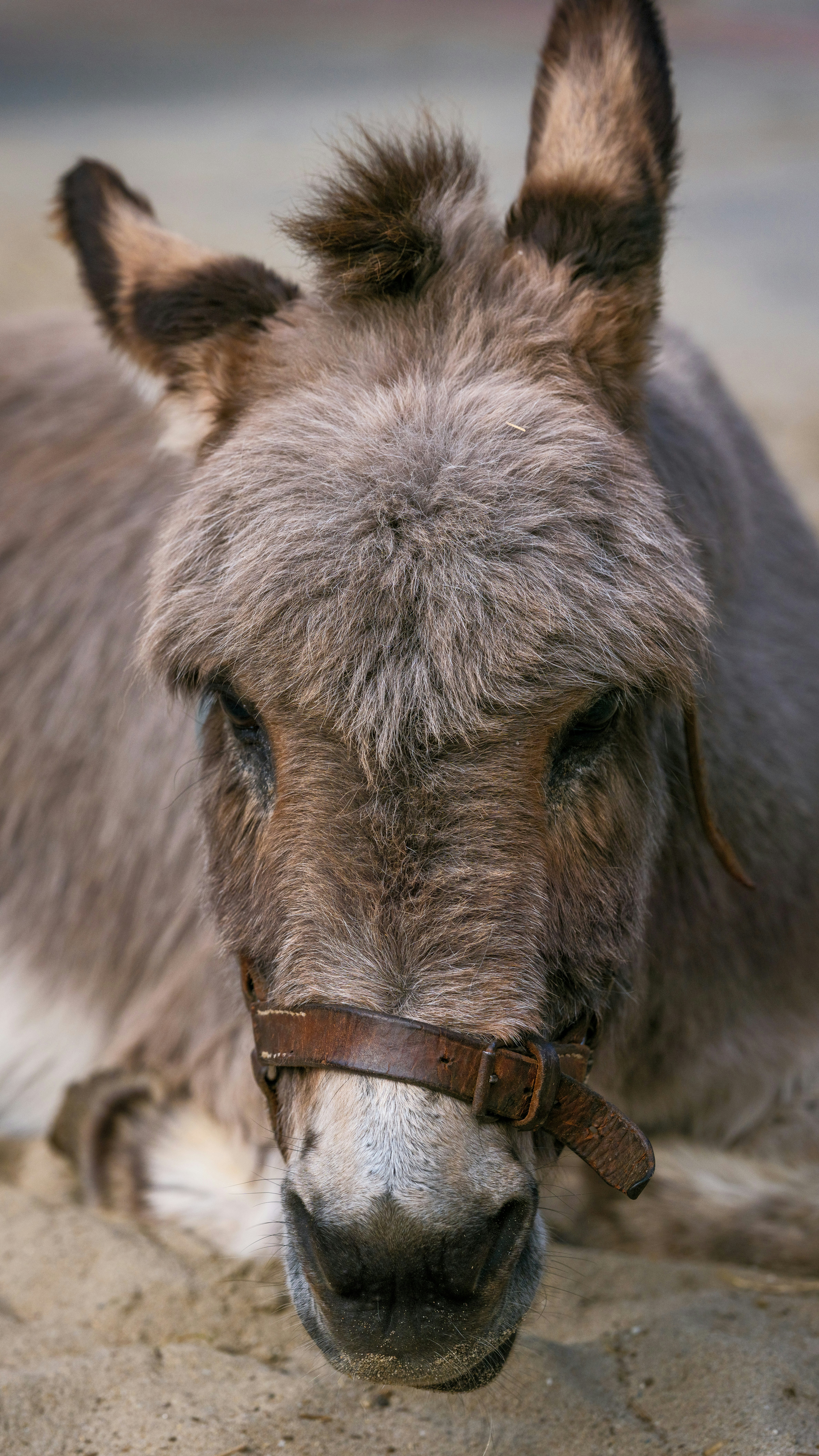 Photo by haberdoedas