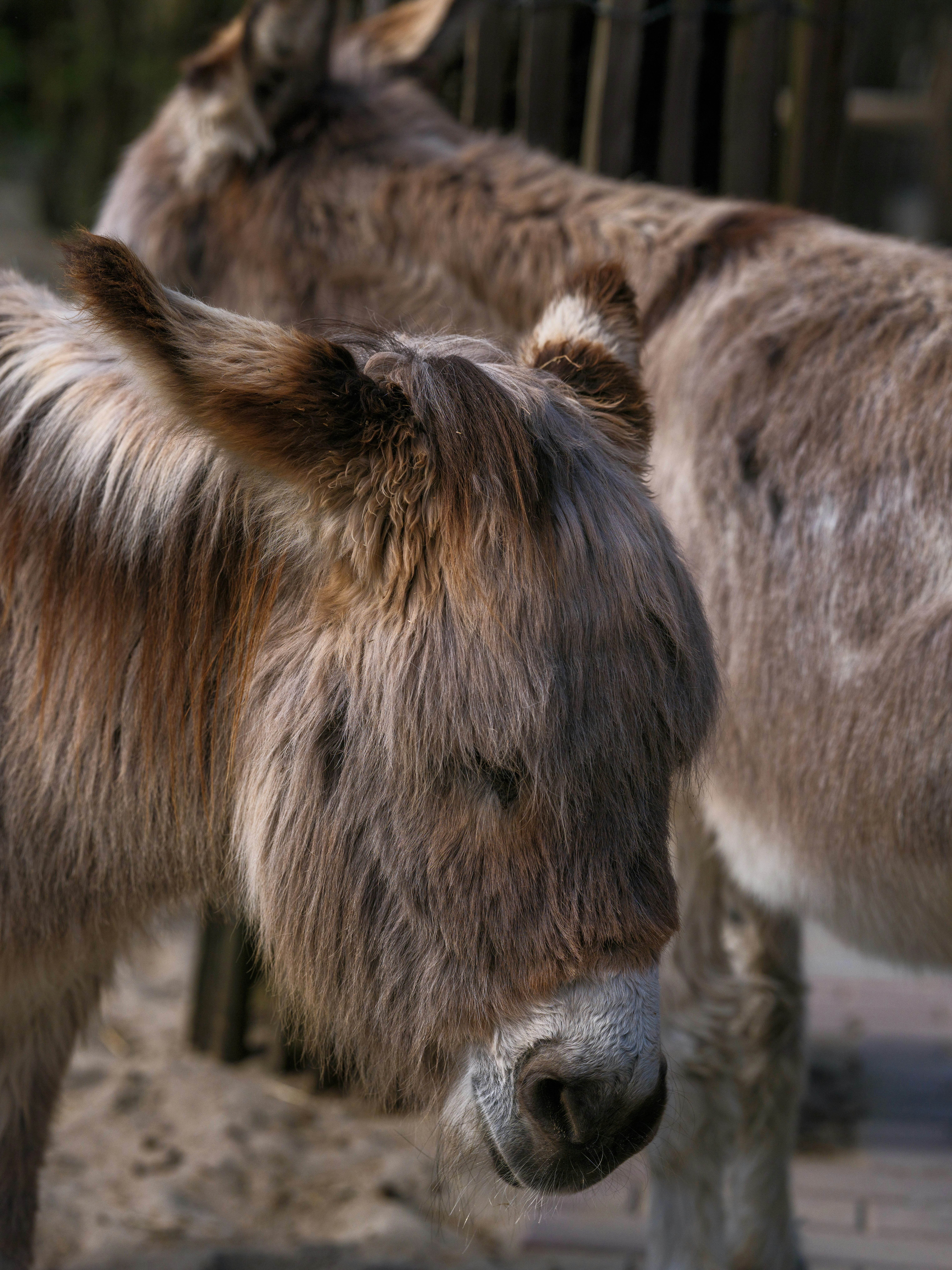 Photo by haberdoedas