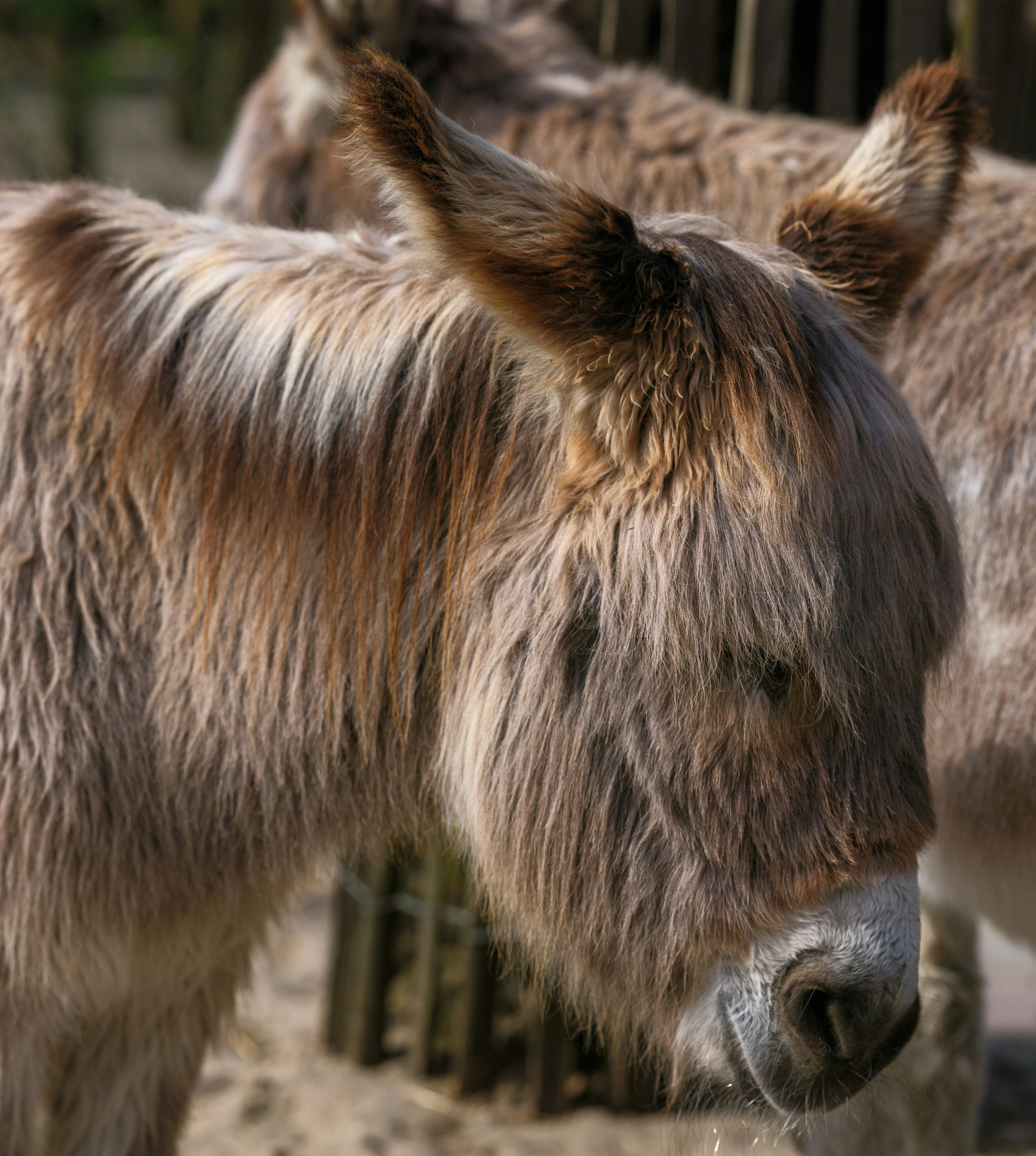 Photo by haberdoedas