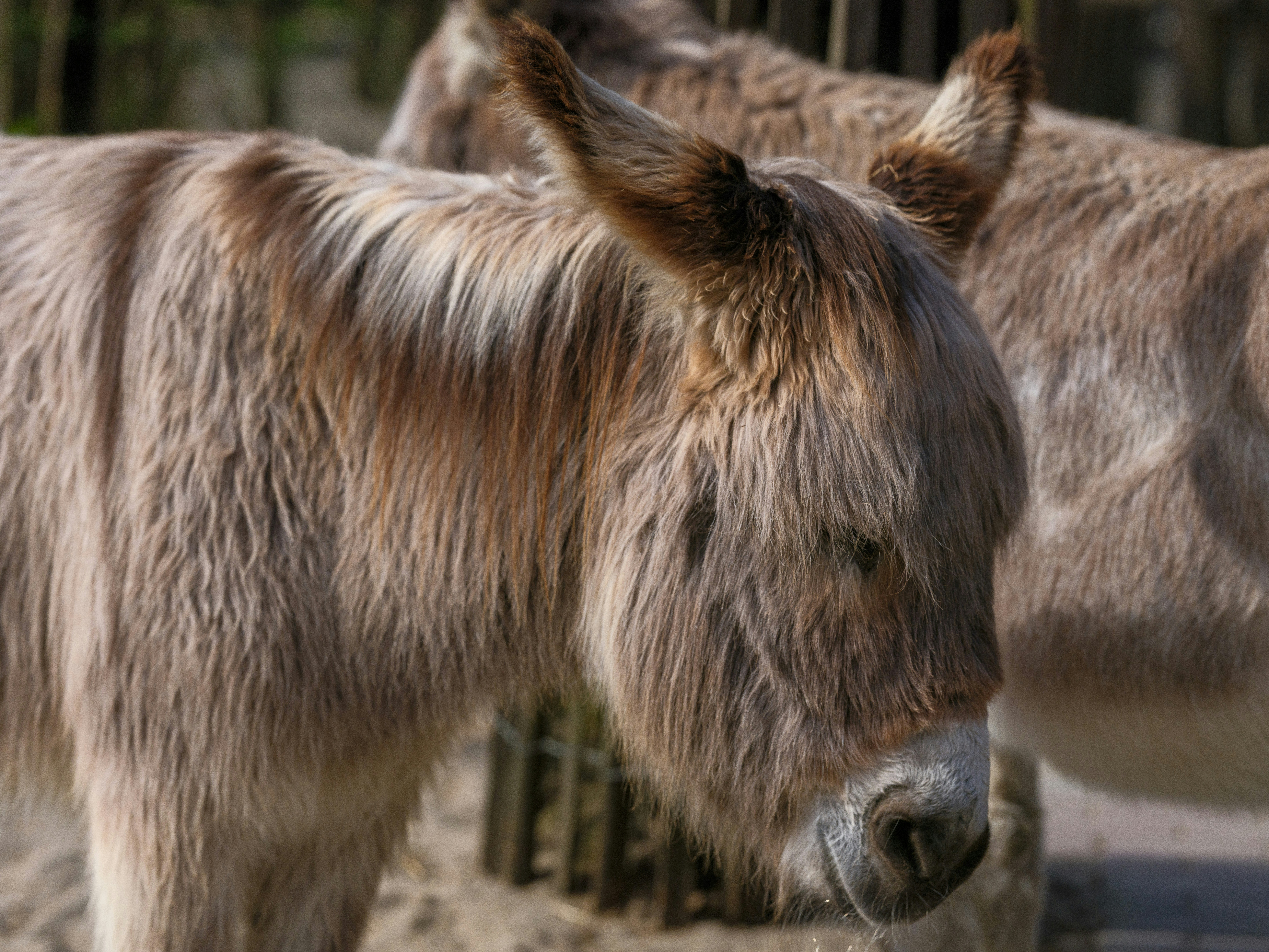 Photo by haberdoedas