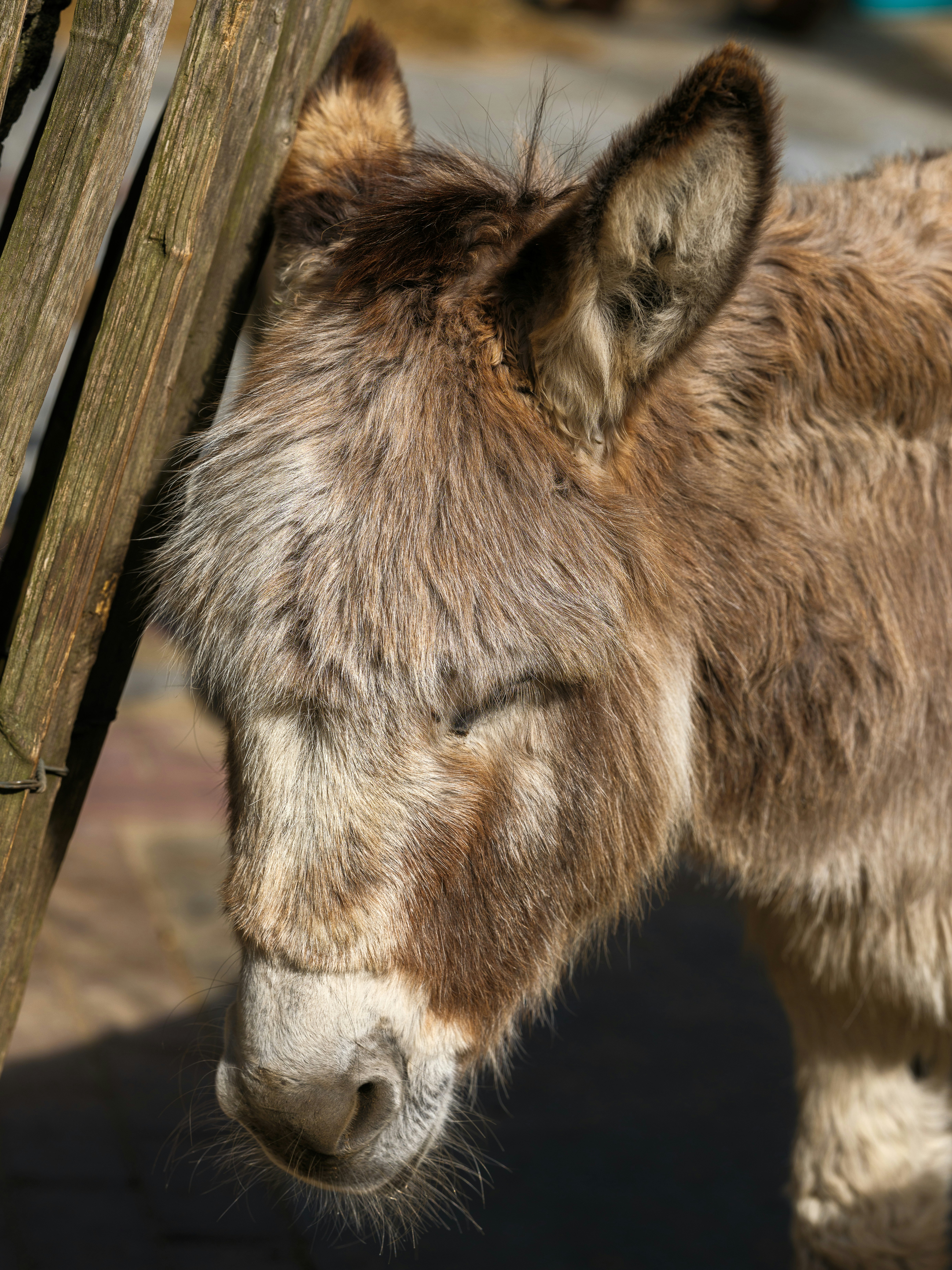 Photo by haberdoedas