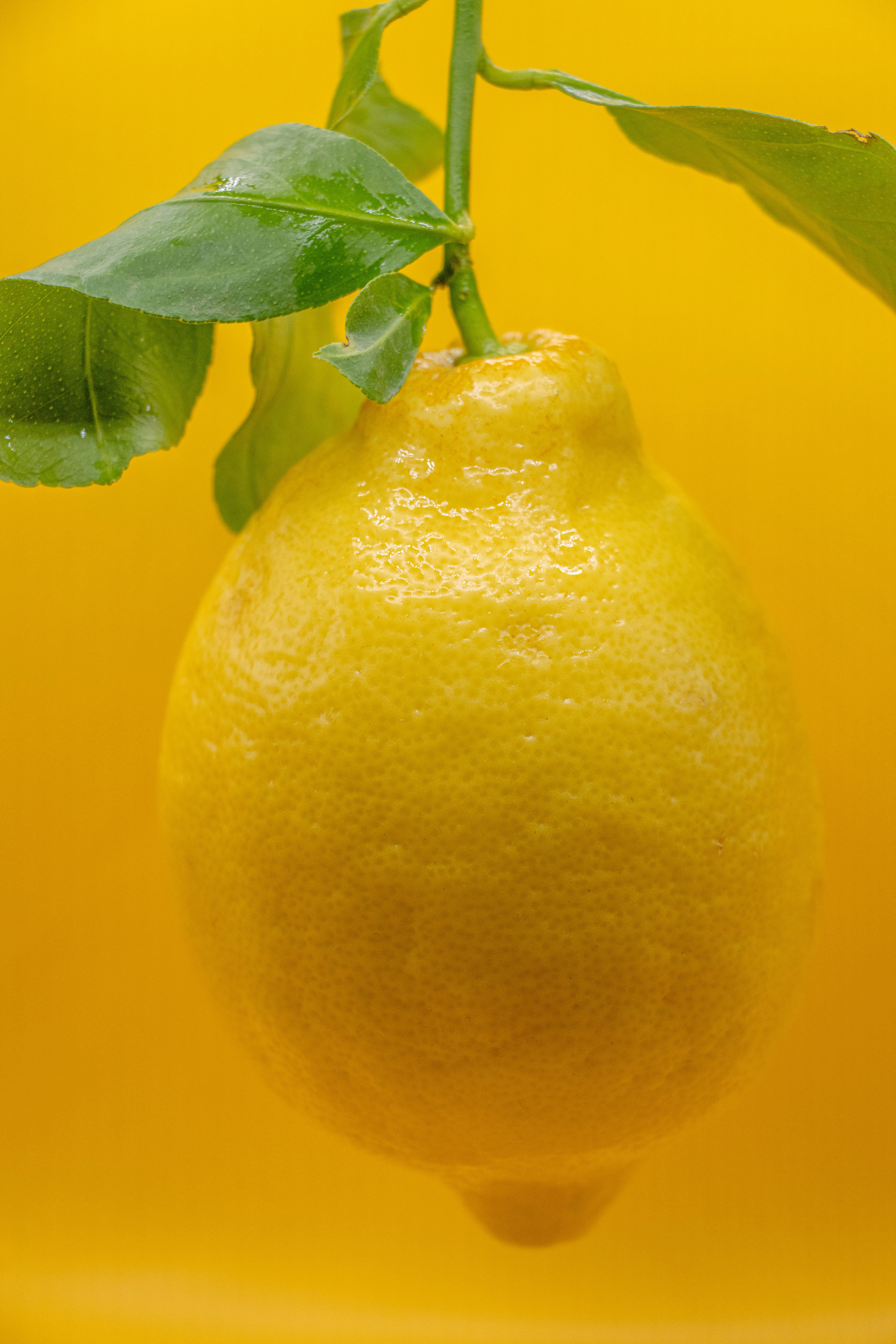A lemon with green leaves on a vibrant yellow background.