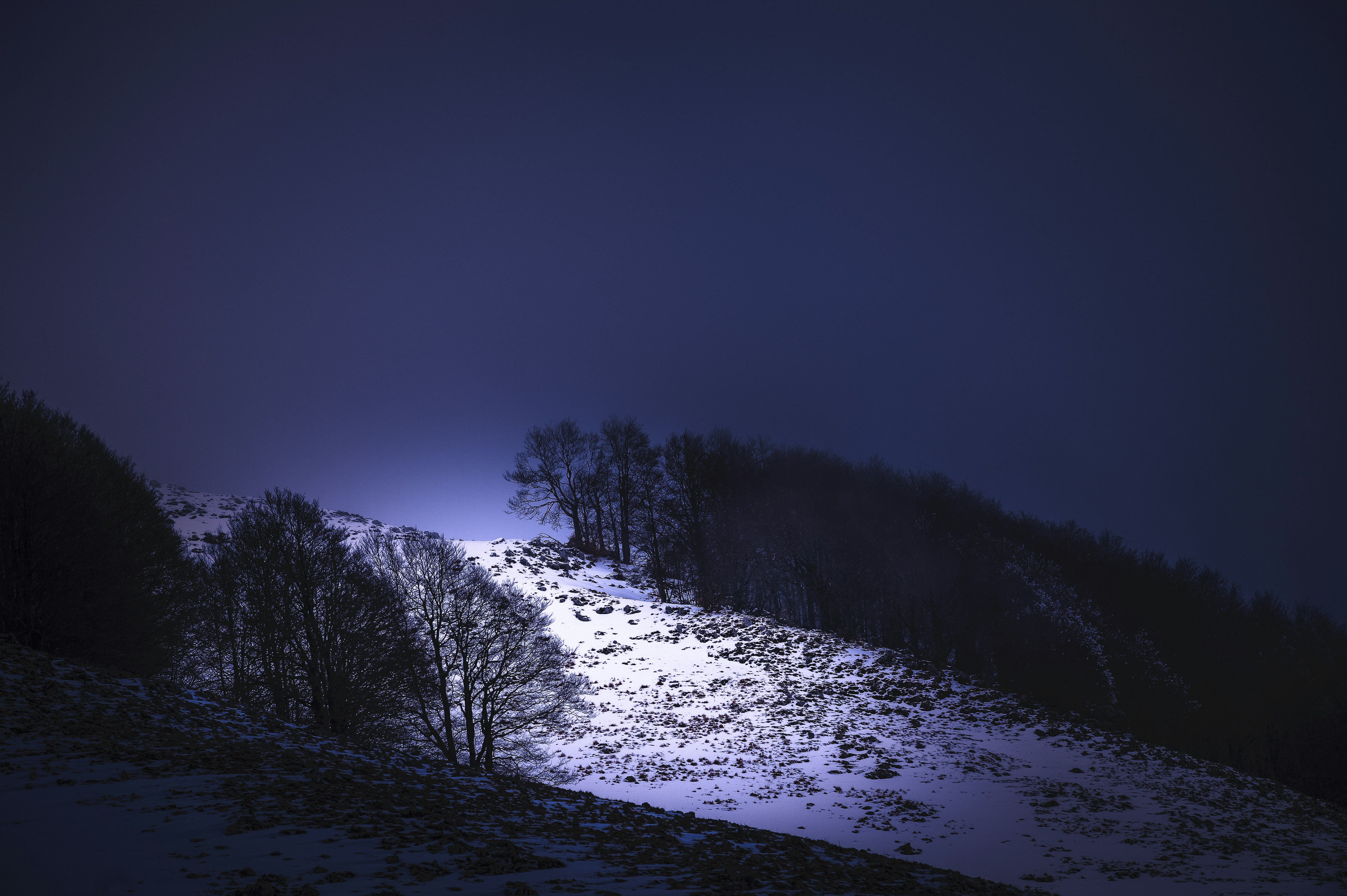 Photo by lucaakalu