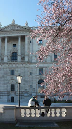 People relax under cherry blossoms near a building.