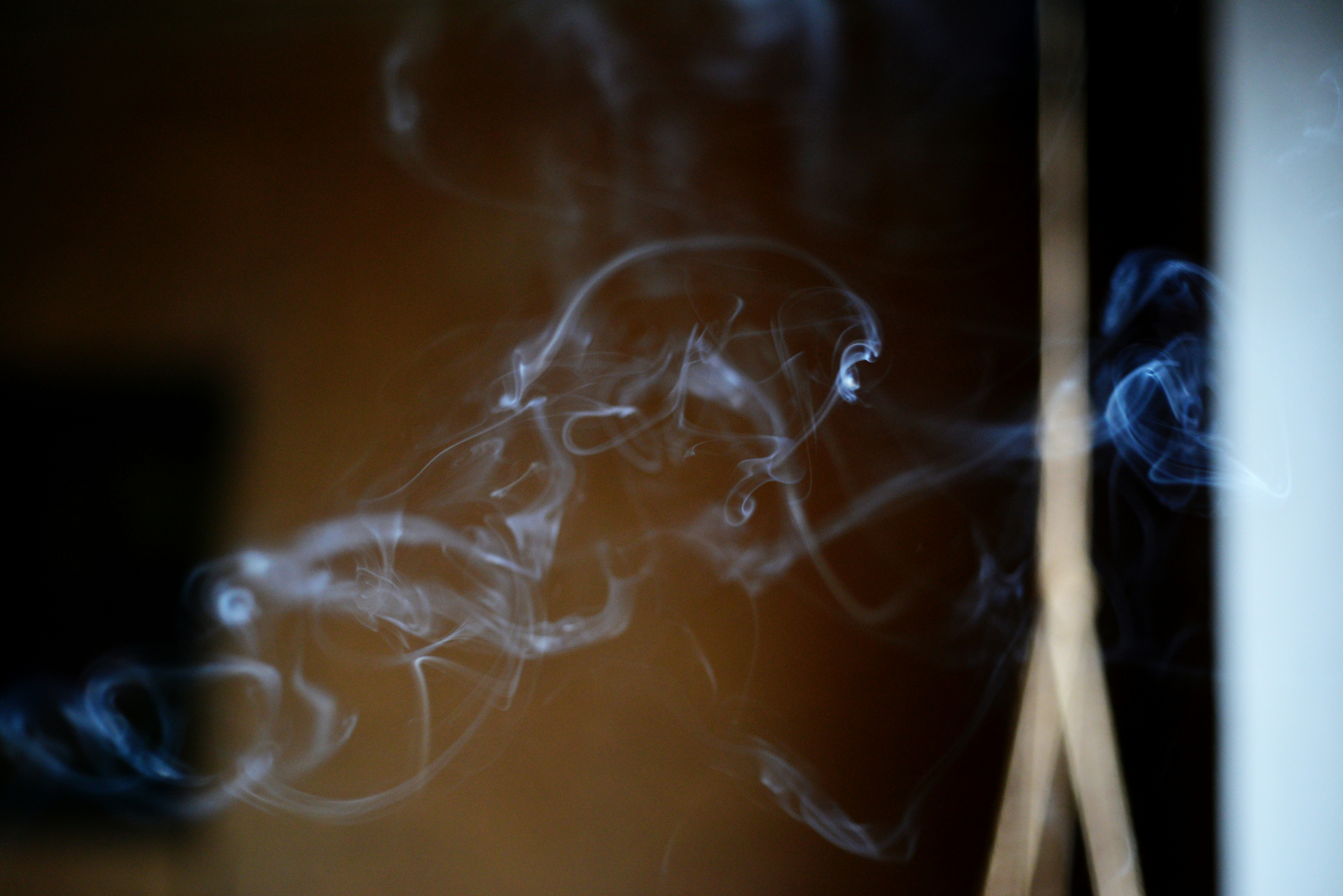 Philip Morris raises annual profit forecast 