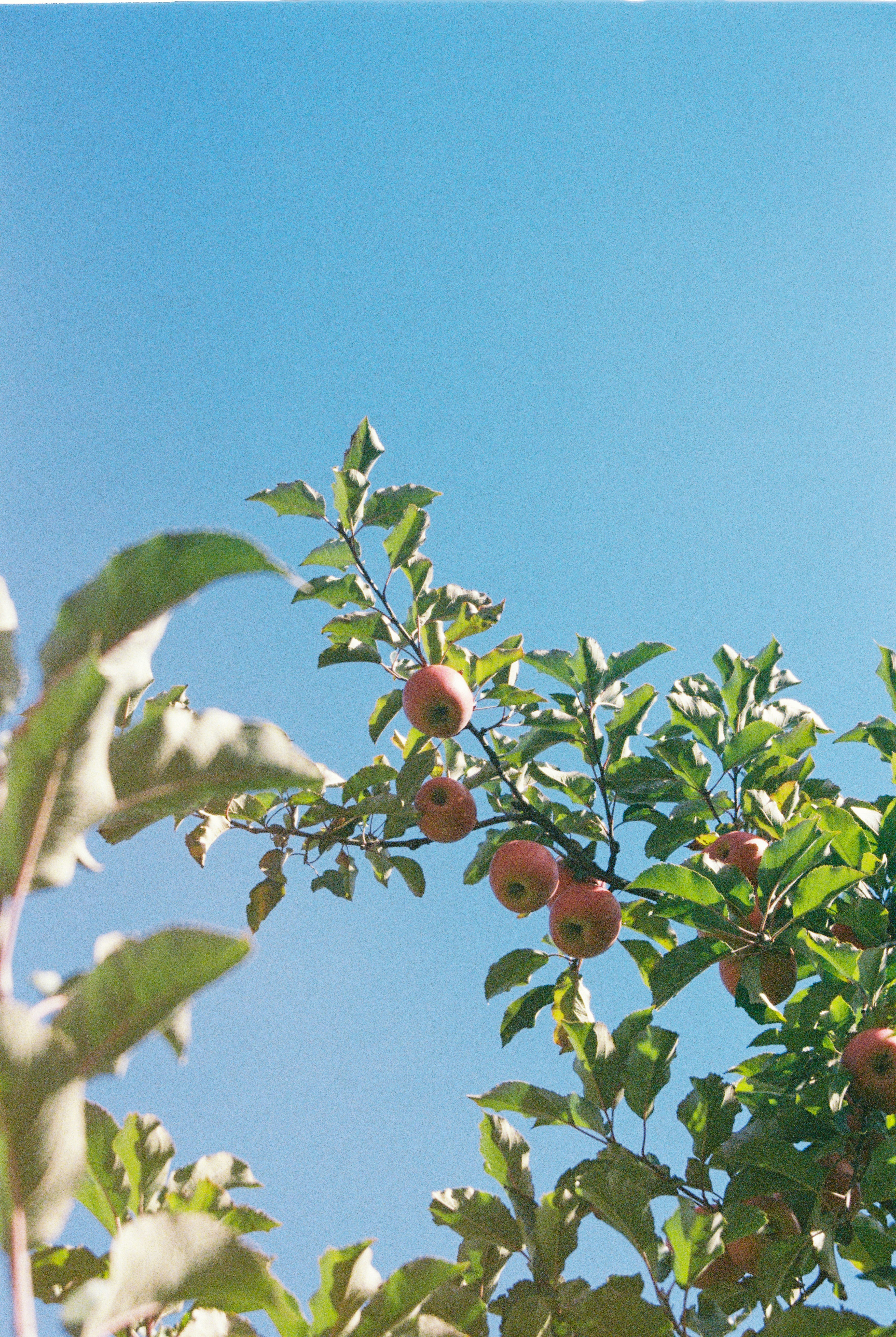 Photo by hiddenbubbles