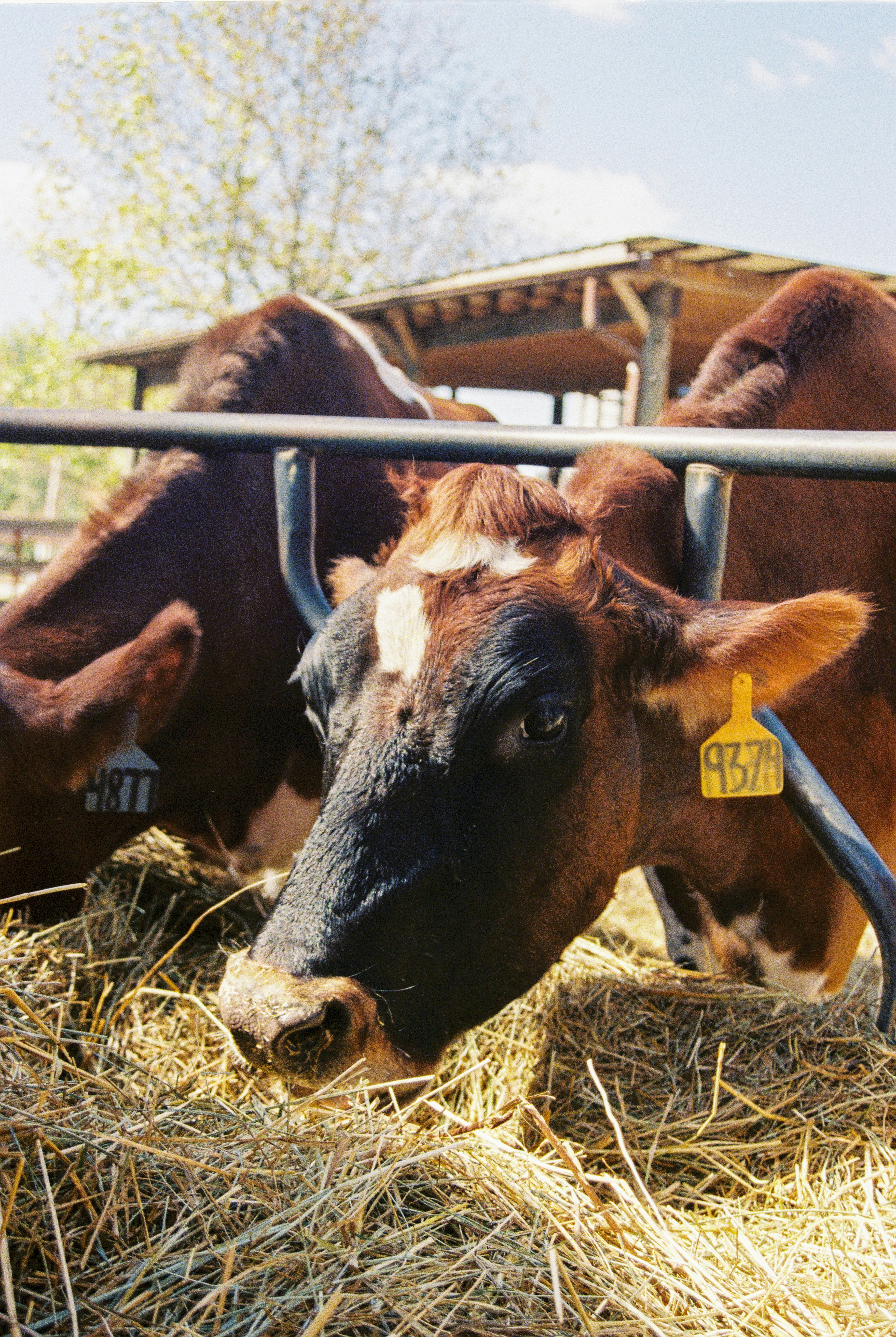 Photo by hiddenbubbles