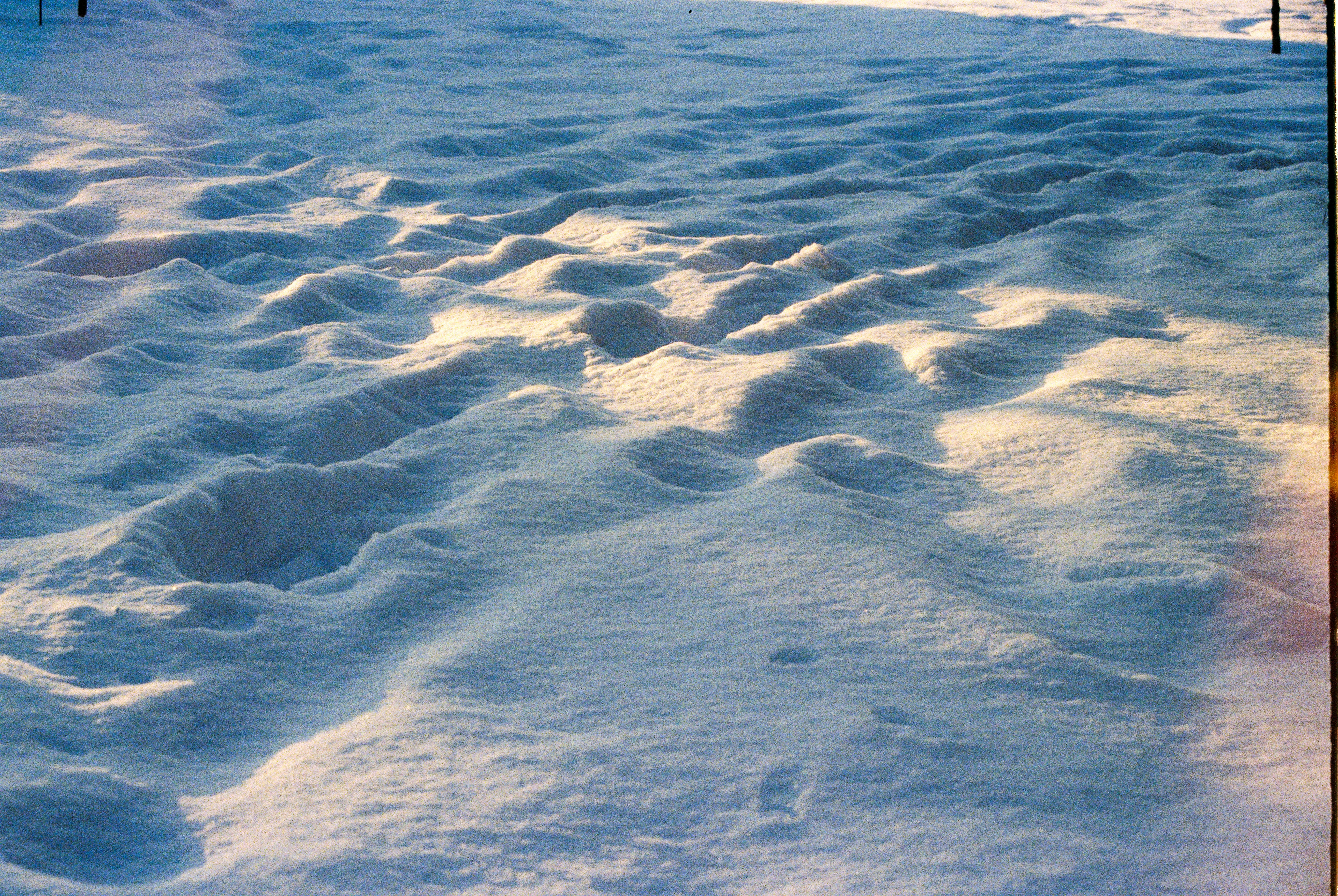 Photo by hiddenbubbles