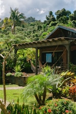 Une maison tropical tranquille entouré de verdure, avec un hamac