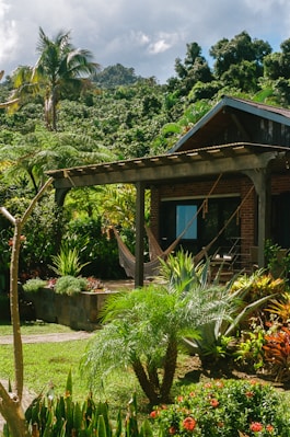 Une maison tropical tranquille entouré de verdure, avec un hamac