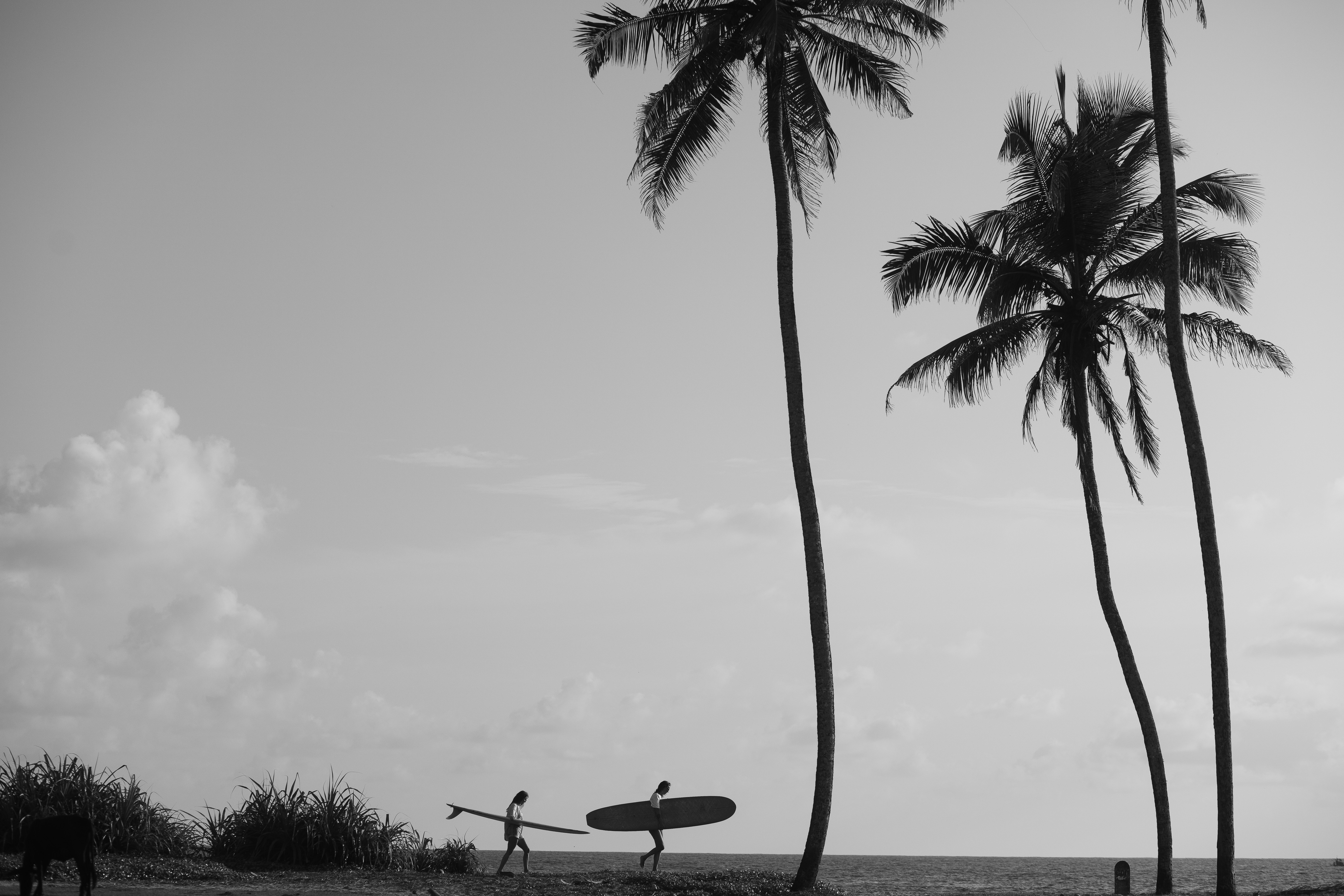 Daily Productive Sharing 1271 - AI-assisted Coding