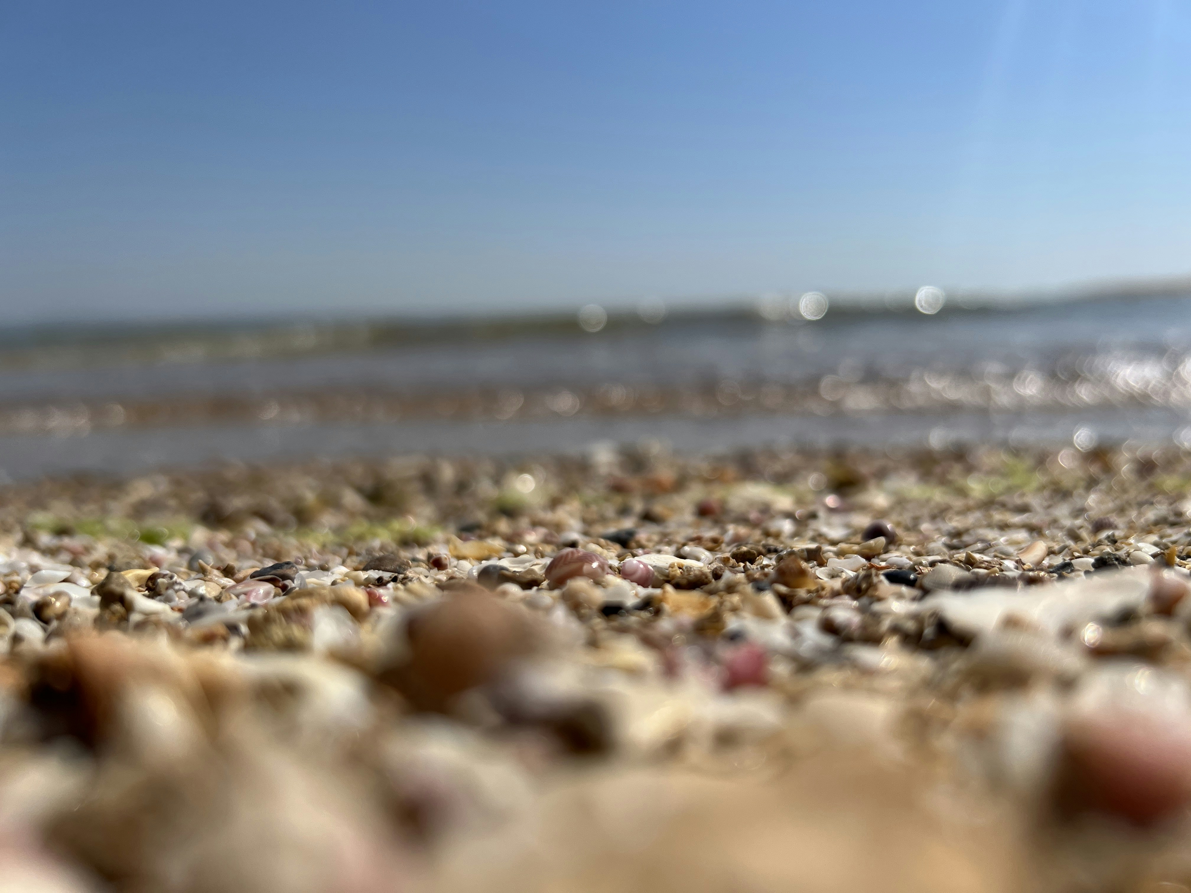 Photo by farid_karimi