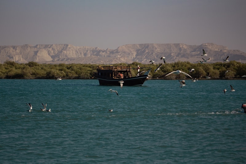 A boat sails through water with flying birds.
