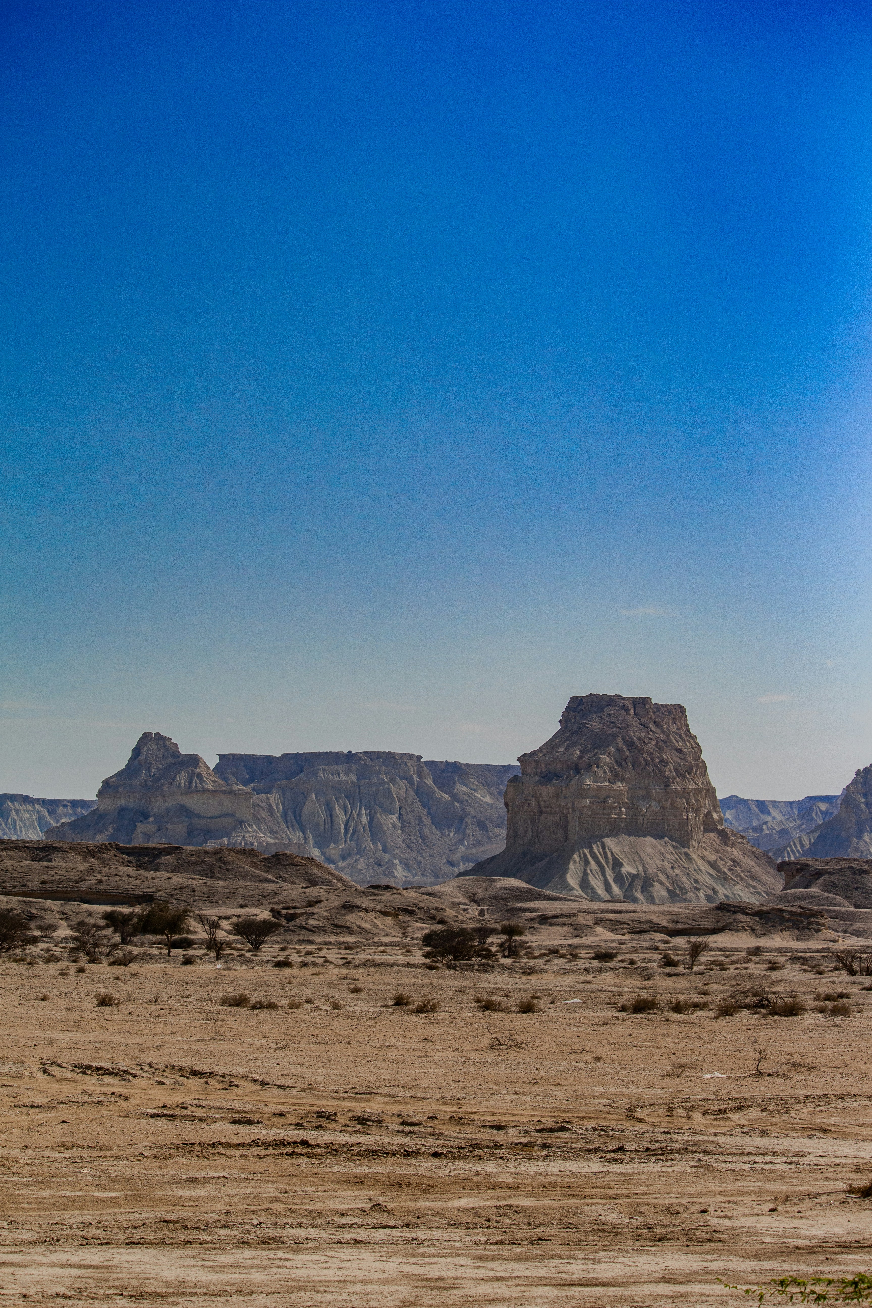 Photo by farid_karimi