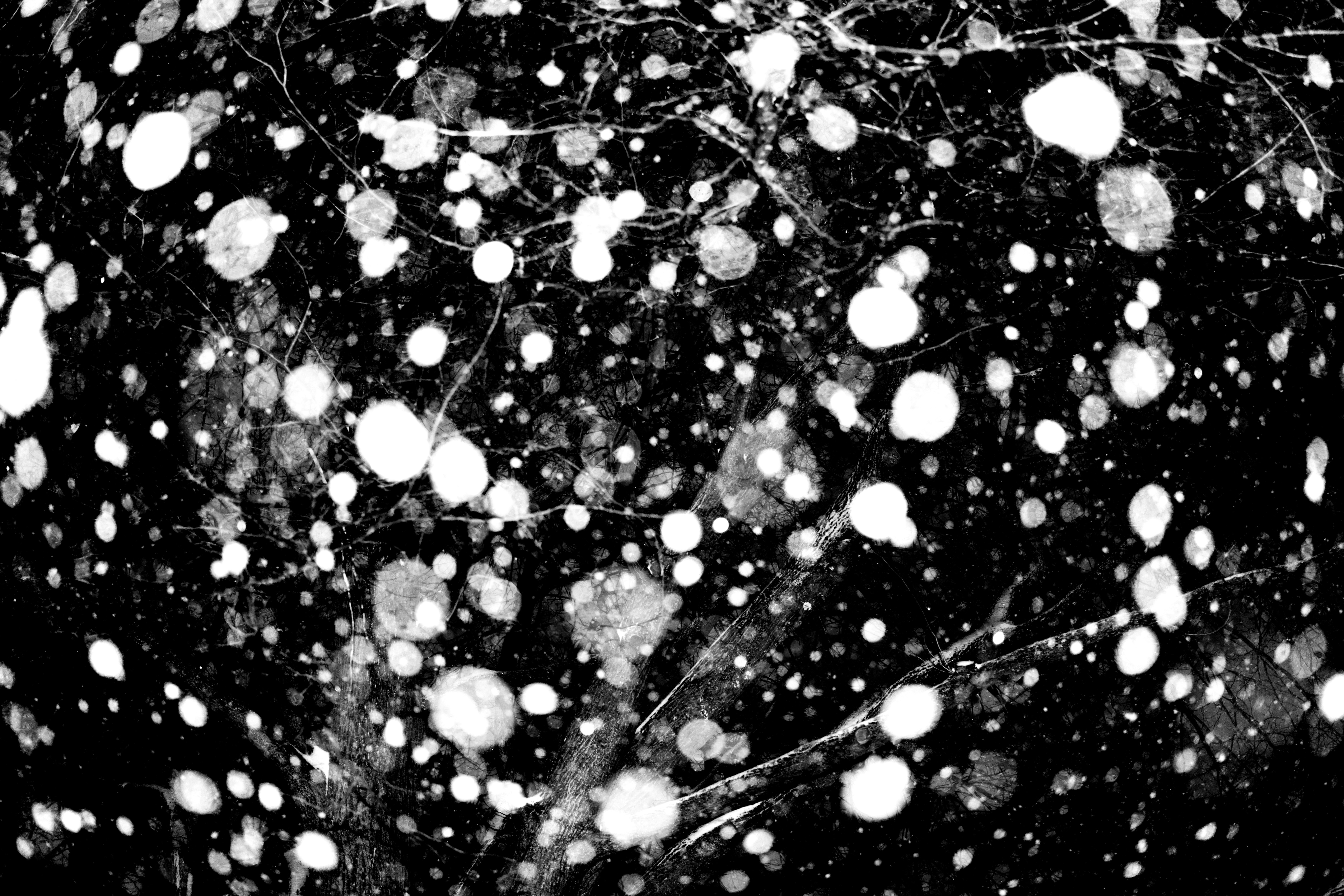 Photo by chriszhang0806