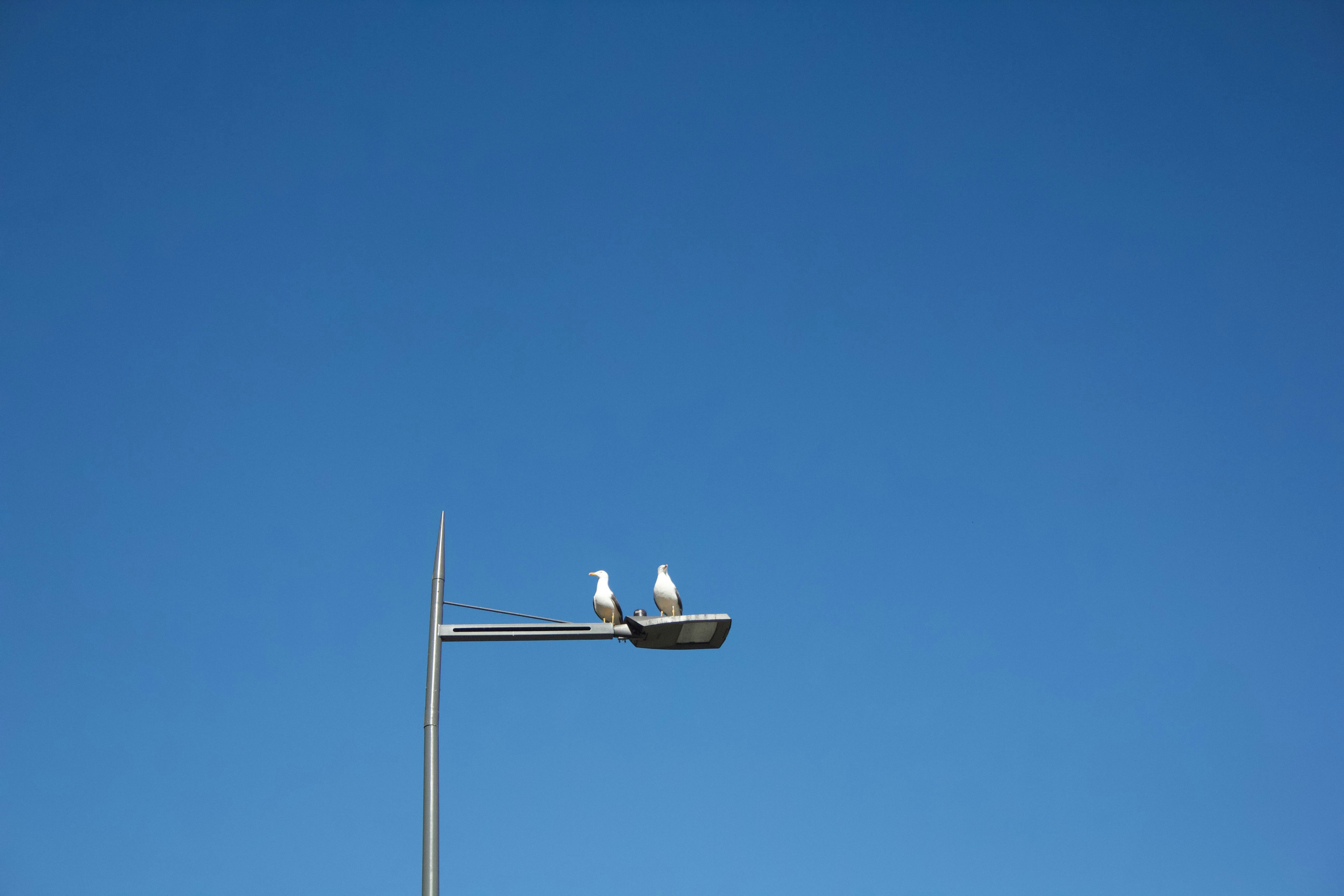 Photo by ahmedtakesphotos