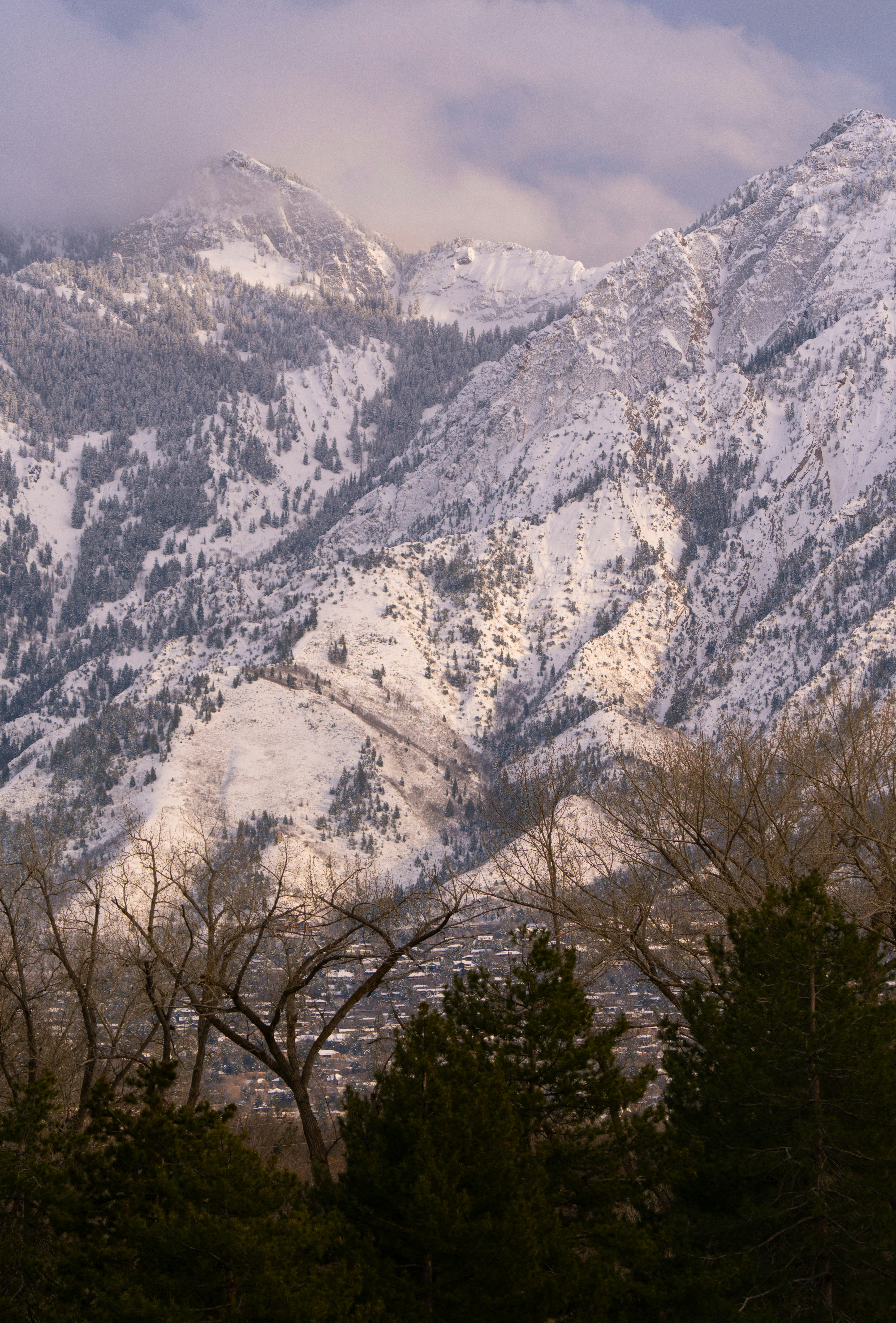 Photo by alexmoliski