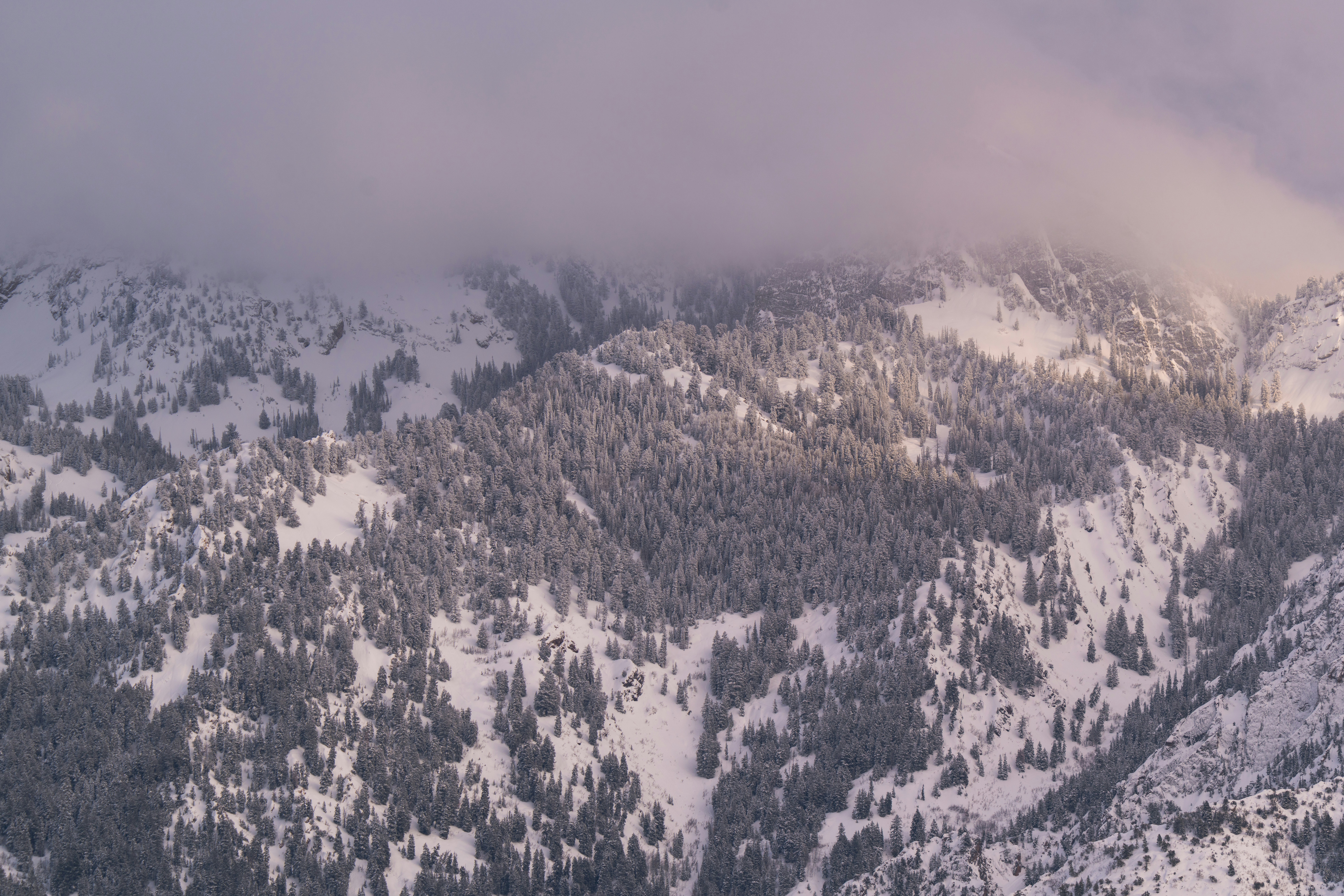 Photo by alexmoliski